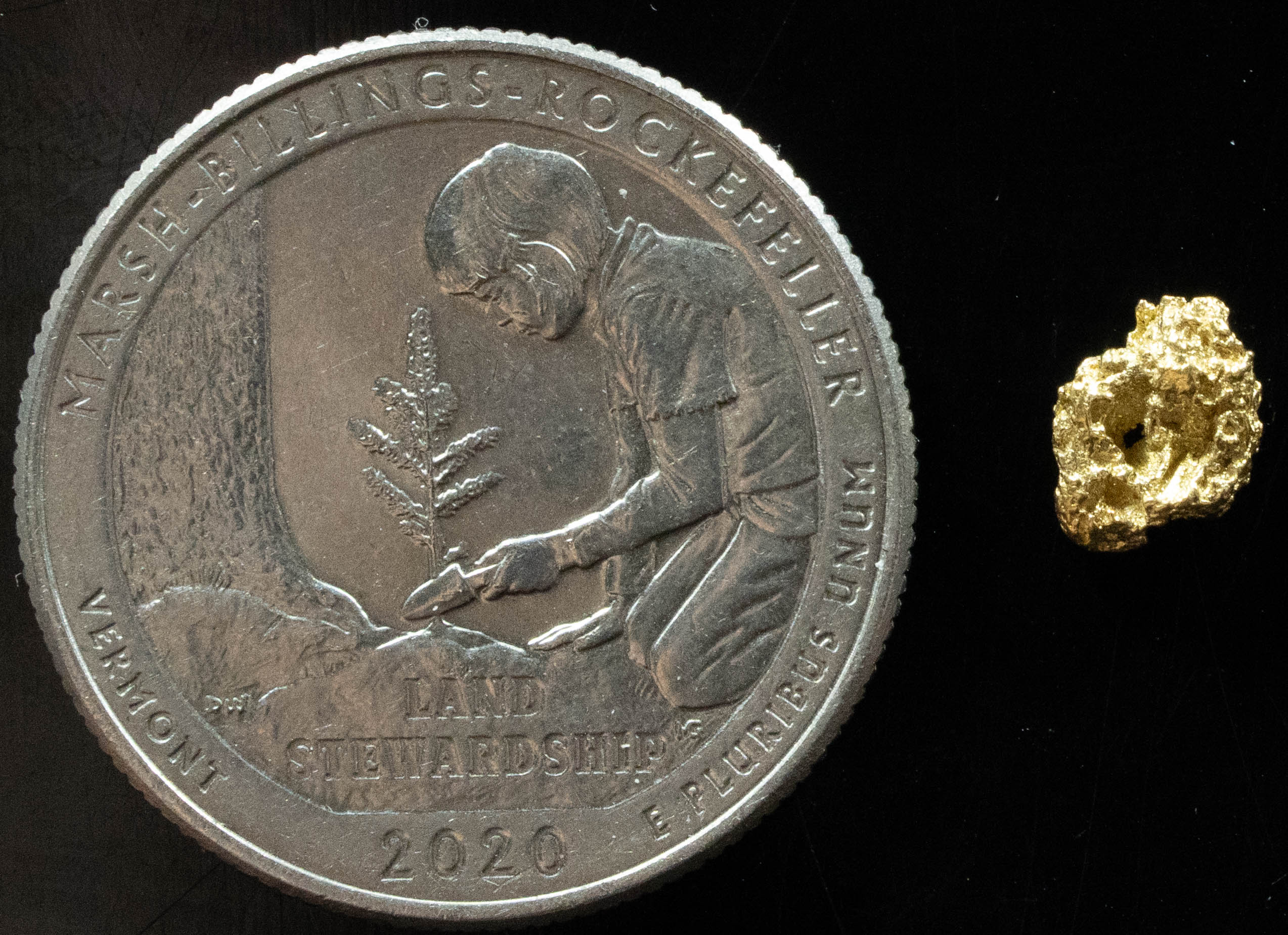 #111 Alaskan BC Natural Gold Nugget .42 Grams Genuine