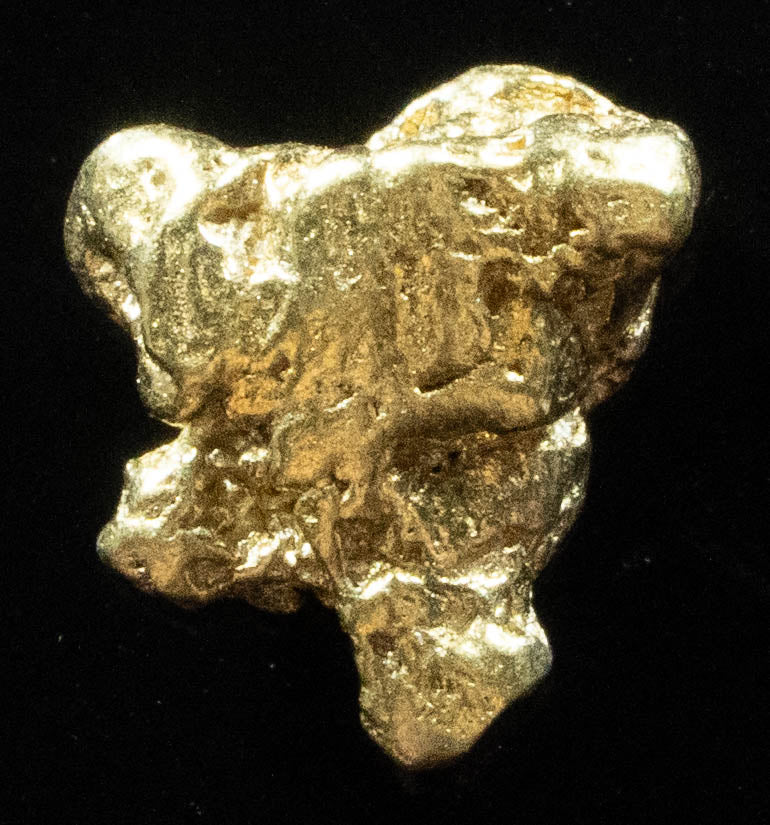 #173 Alaskan BC Natural Gold Nugget 1.27 Grams Genuine