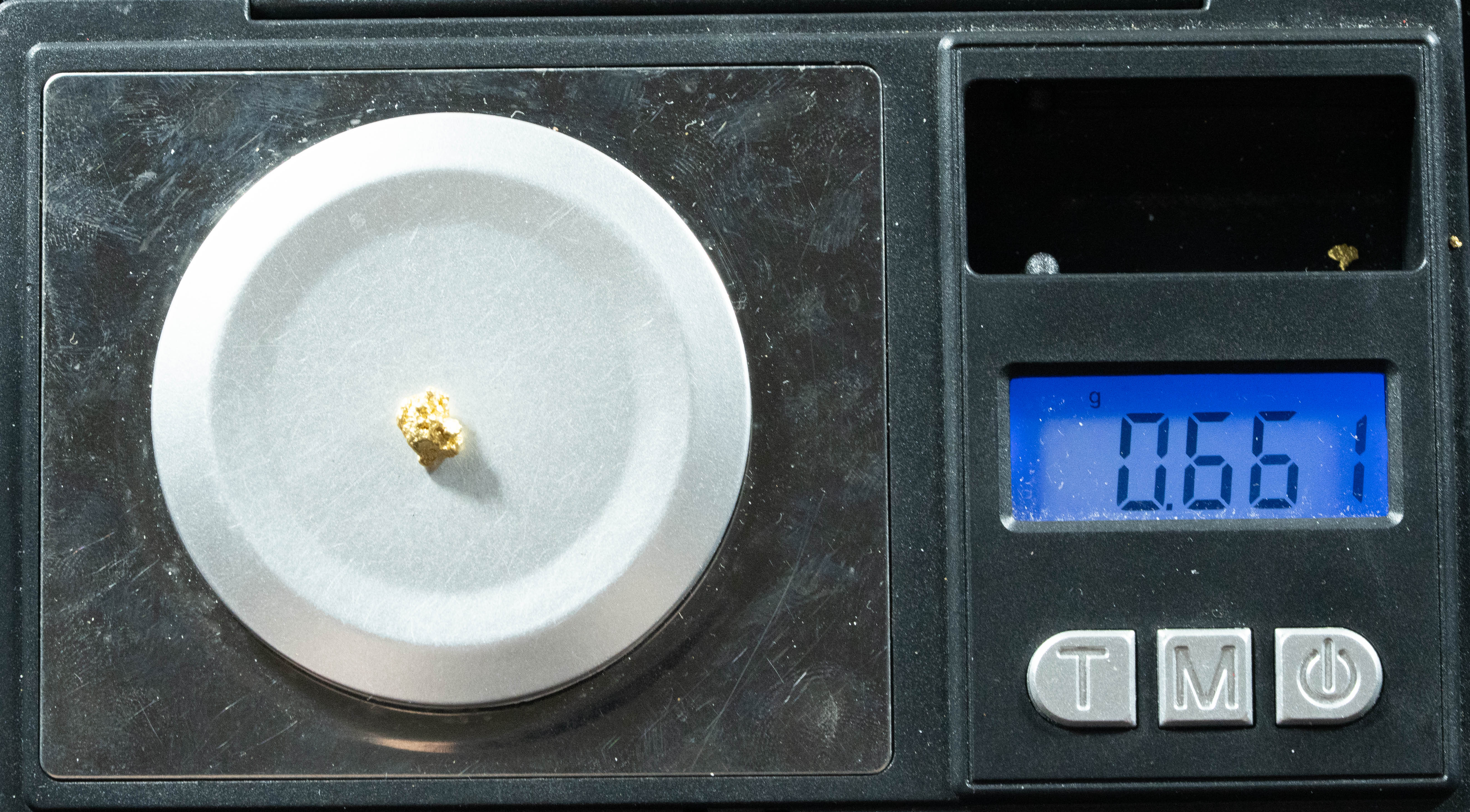 #175 Alaskan BC Natural Gold Nugget .661 Grams Genuine