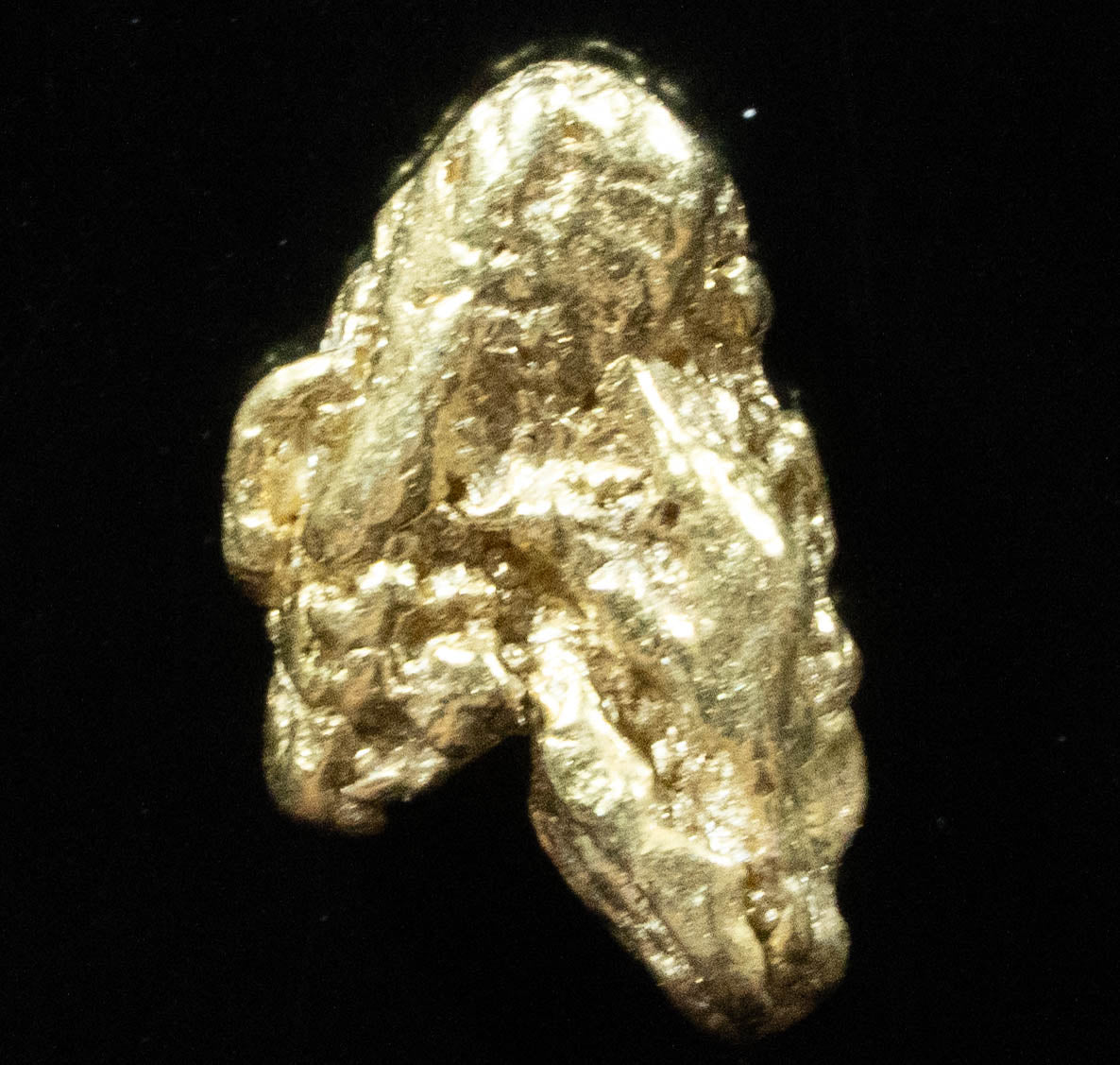 #176 Alaskan BC Natural Gold Nugget 1.34 Grams Genuine