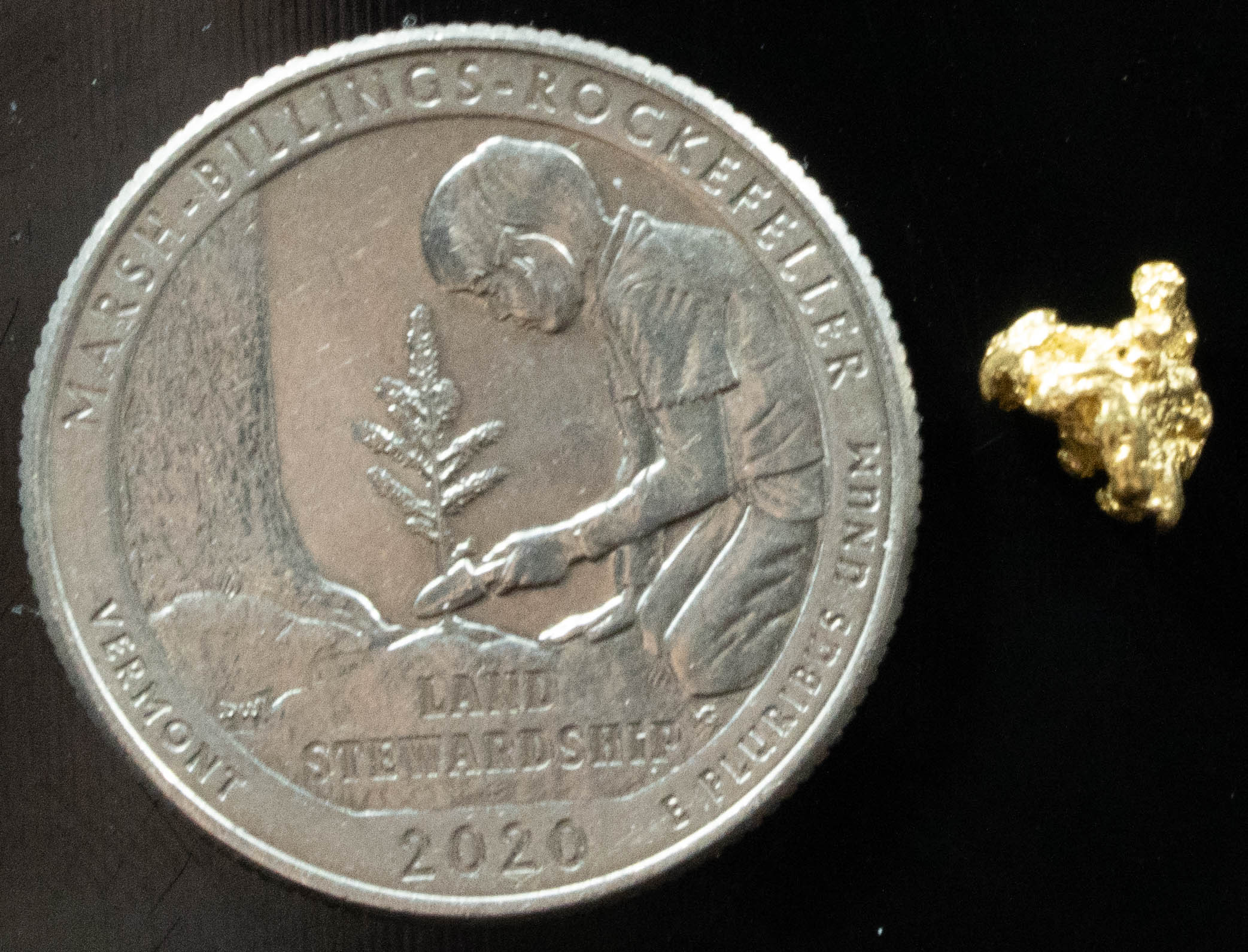 #62 Alaskan BC Natural Gold Nugget .505 Grams Genuine