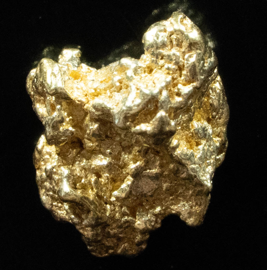 #69 Alaskan BC Natural Gold Nugget 1.54 Grams Genuine