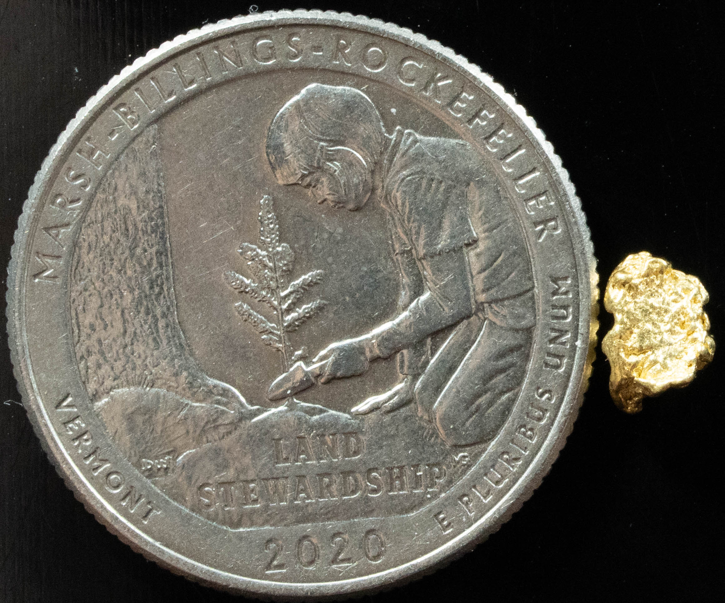 #75 Alaskan BC Natural Gold Nugget .482 Grams Genuine