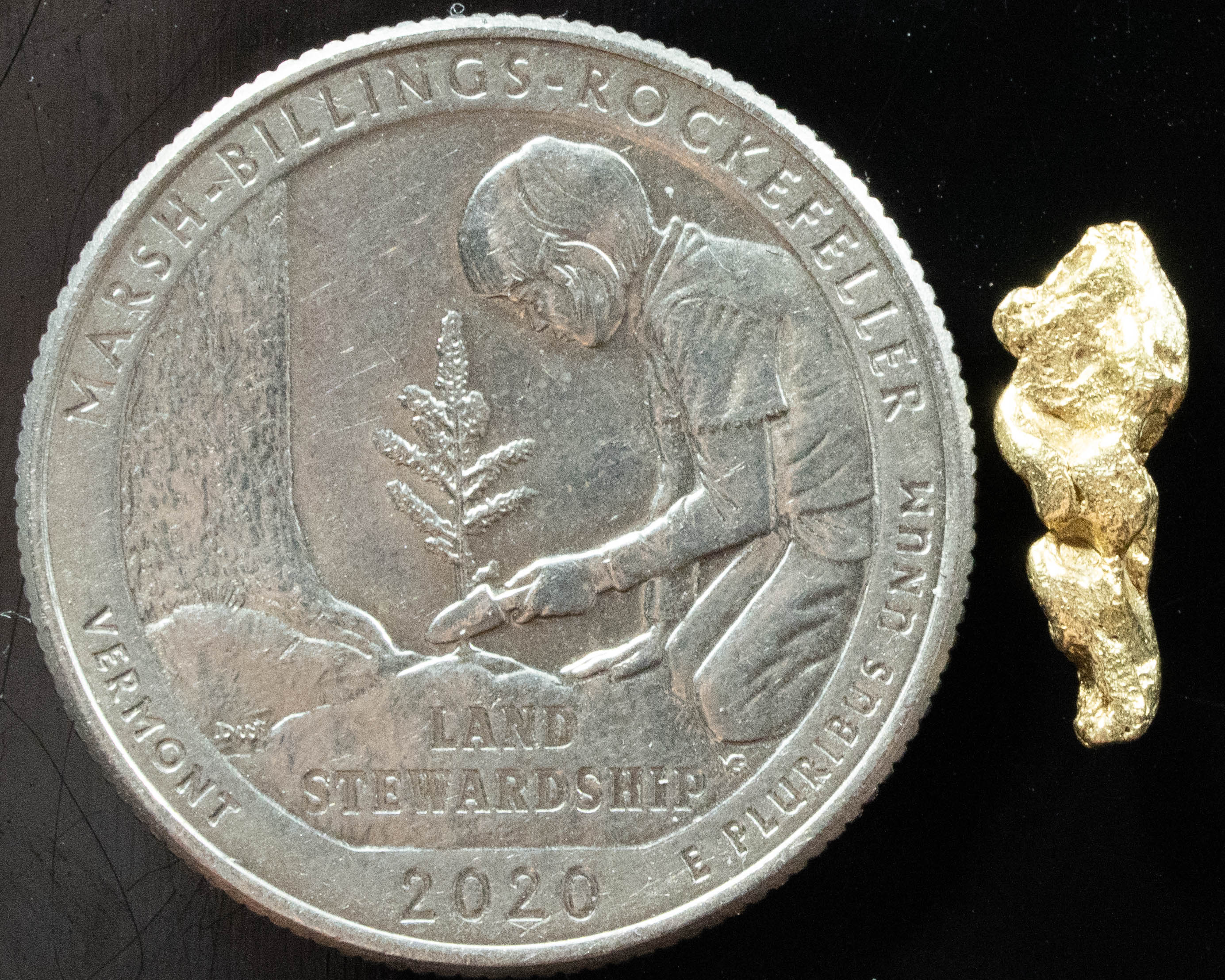 #123 Alaskan BC Natural Gold Nugget .749 Grams Genuine