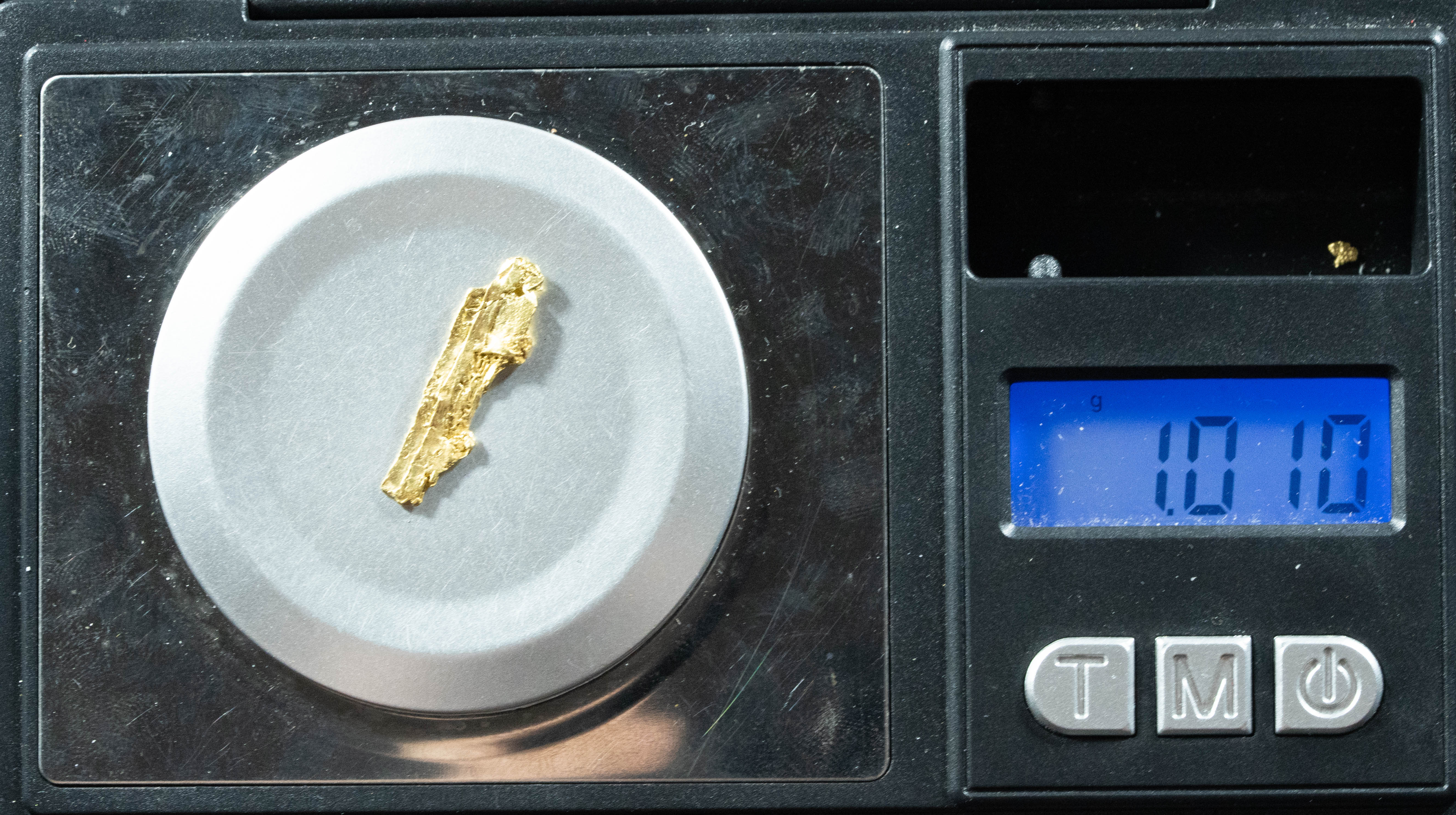L-14 Exotic Leaf Alaskan BC Natural Gold Nugget 1.01 Grams Genuine