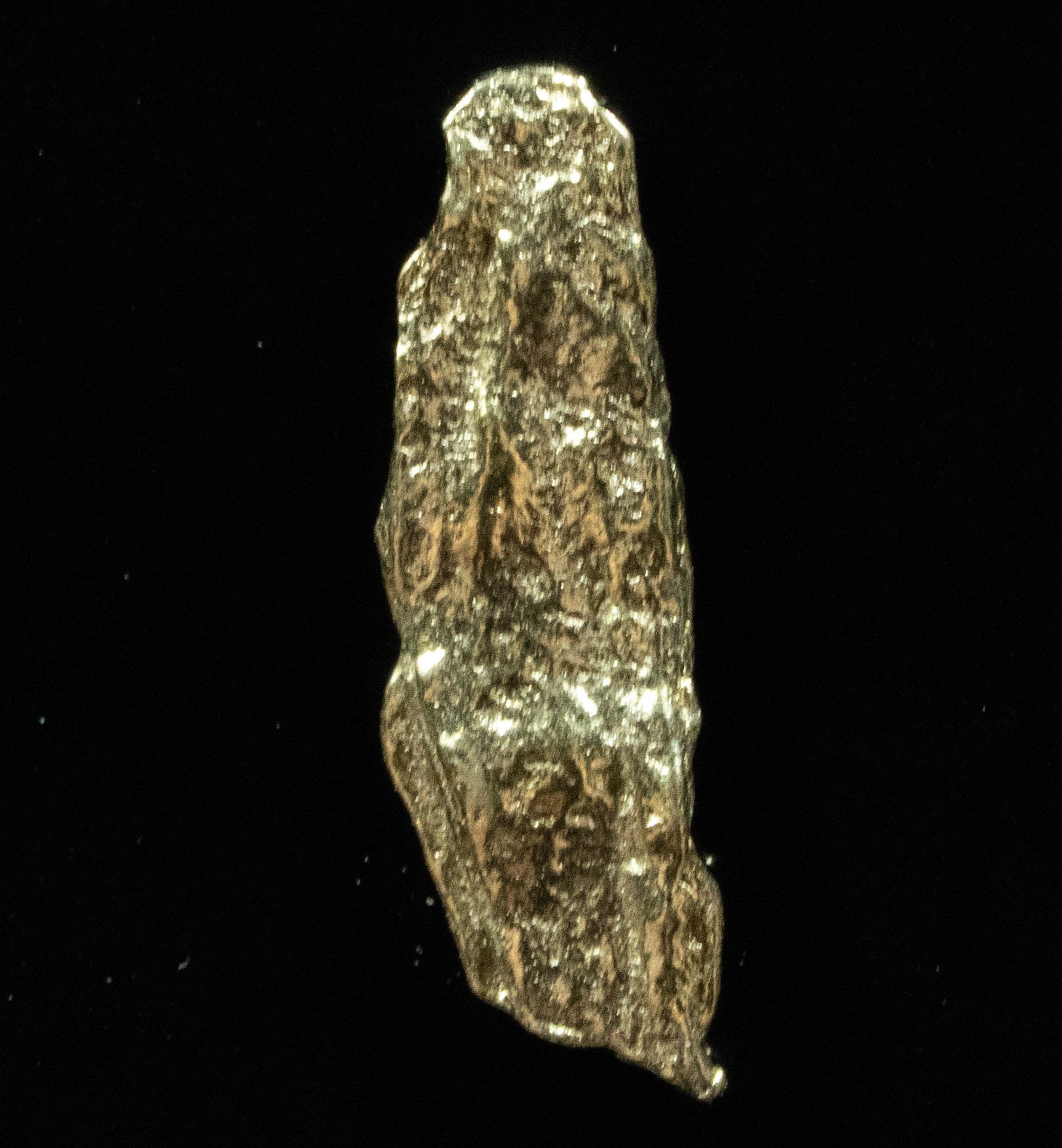 L-15 Exotic Leaf Alaskan BC Natural Gold Nugget .51 Grams Genuine