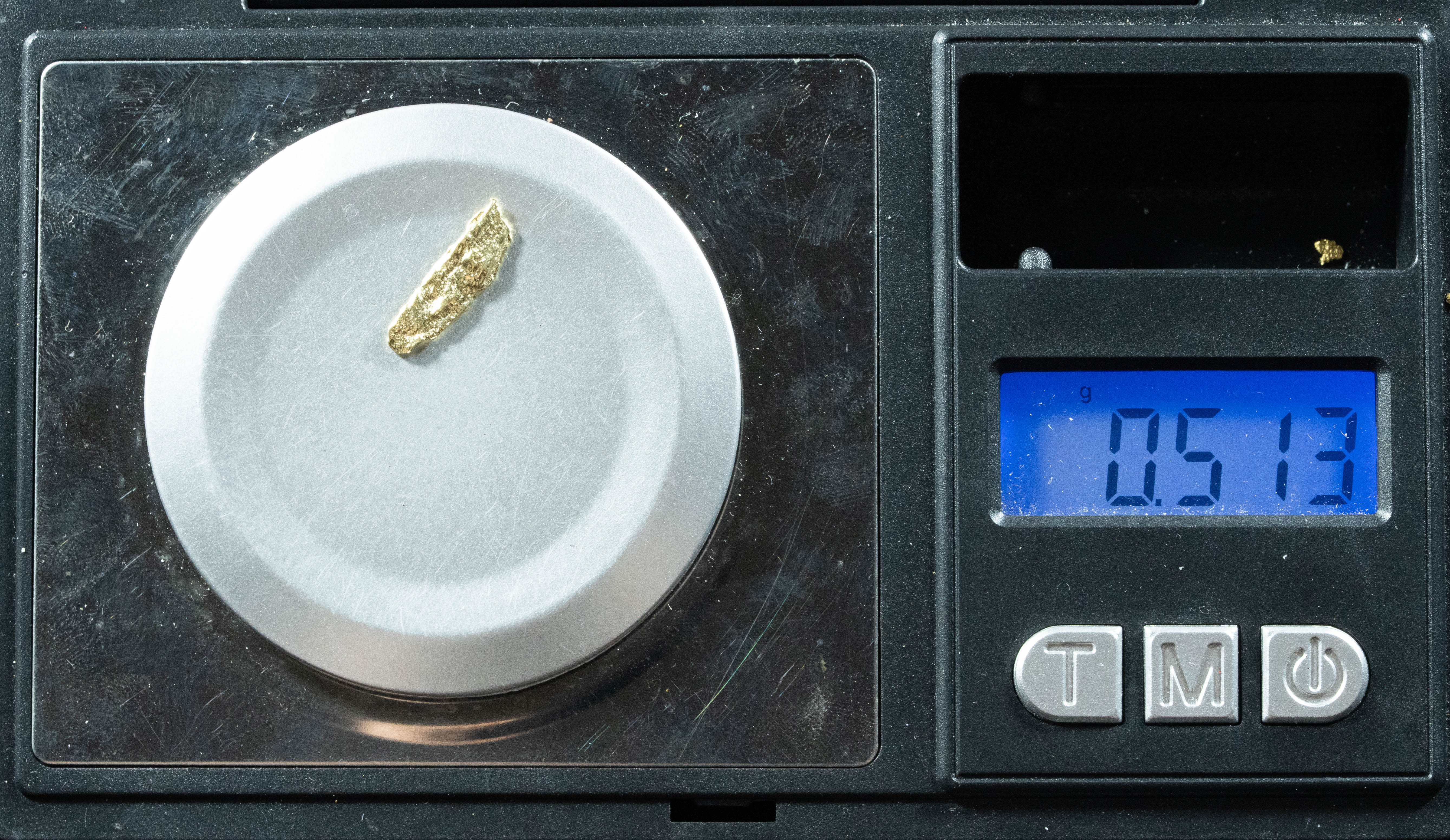 L-15 Exotic Leaf Alaskan BC Natural Gold Nugget .51 Grams Genuine