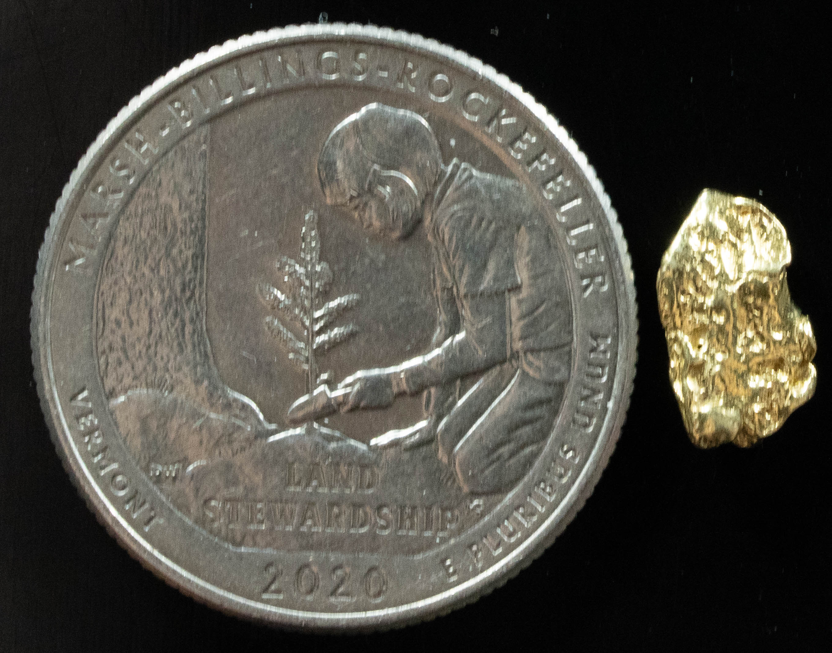 L-16 Exotic Leaf Alaskan BC Natural Gold Nugget .477 Grams Genuine