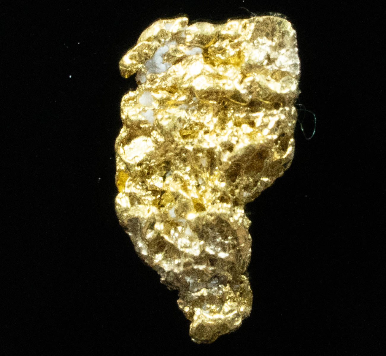 L-17 Exotic Leaf Alaskan BC Natural Gold Nugget .67 Grams Genuine