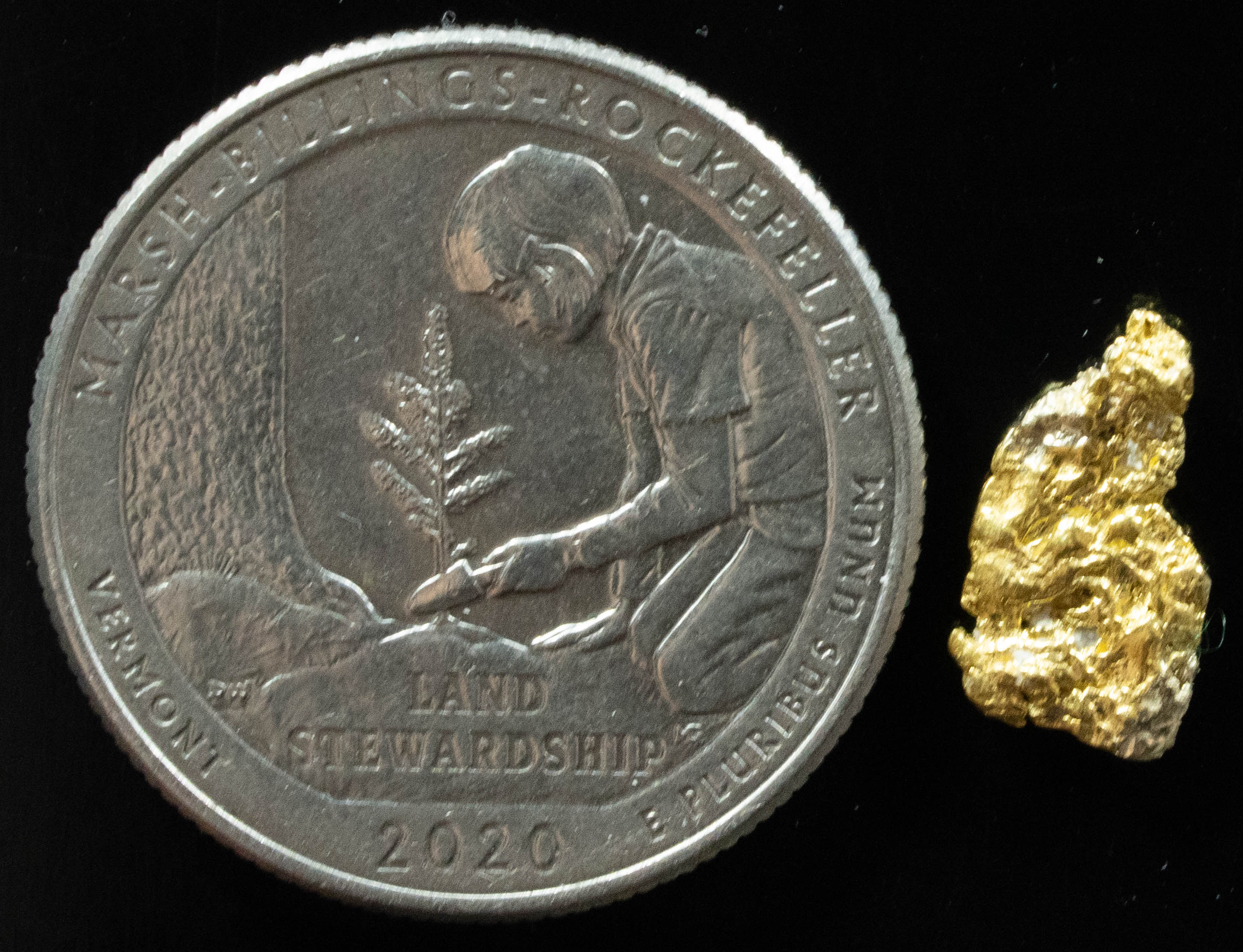 L-17 Exotic Leaf Alaskan BC Natural Gold Nugget .67 Grams Genuine
