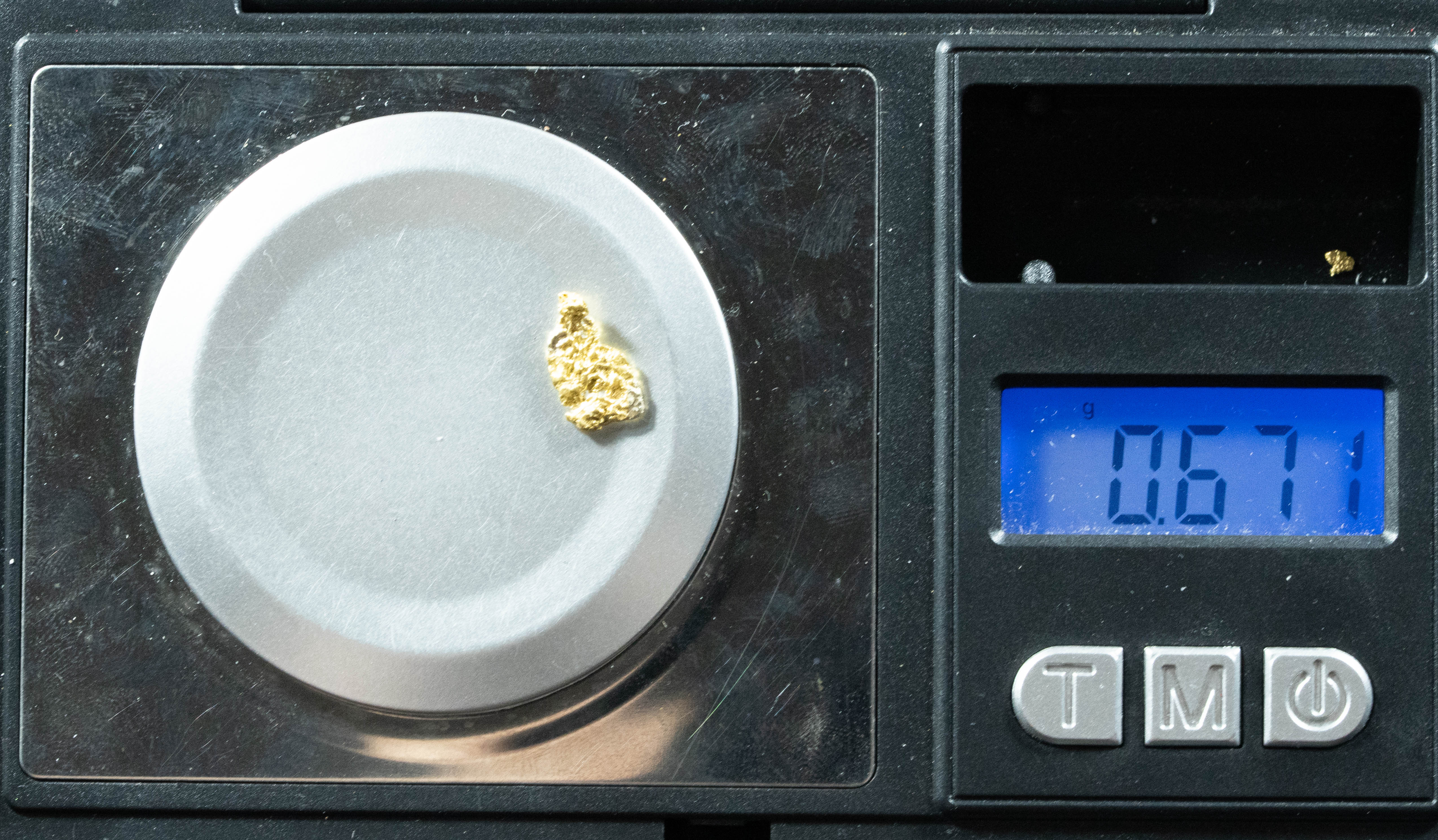 L-17 Exotic Leaf Alaskan BC Natural Gold Nugget .67 Grams Genuine