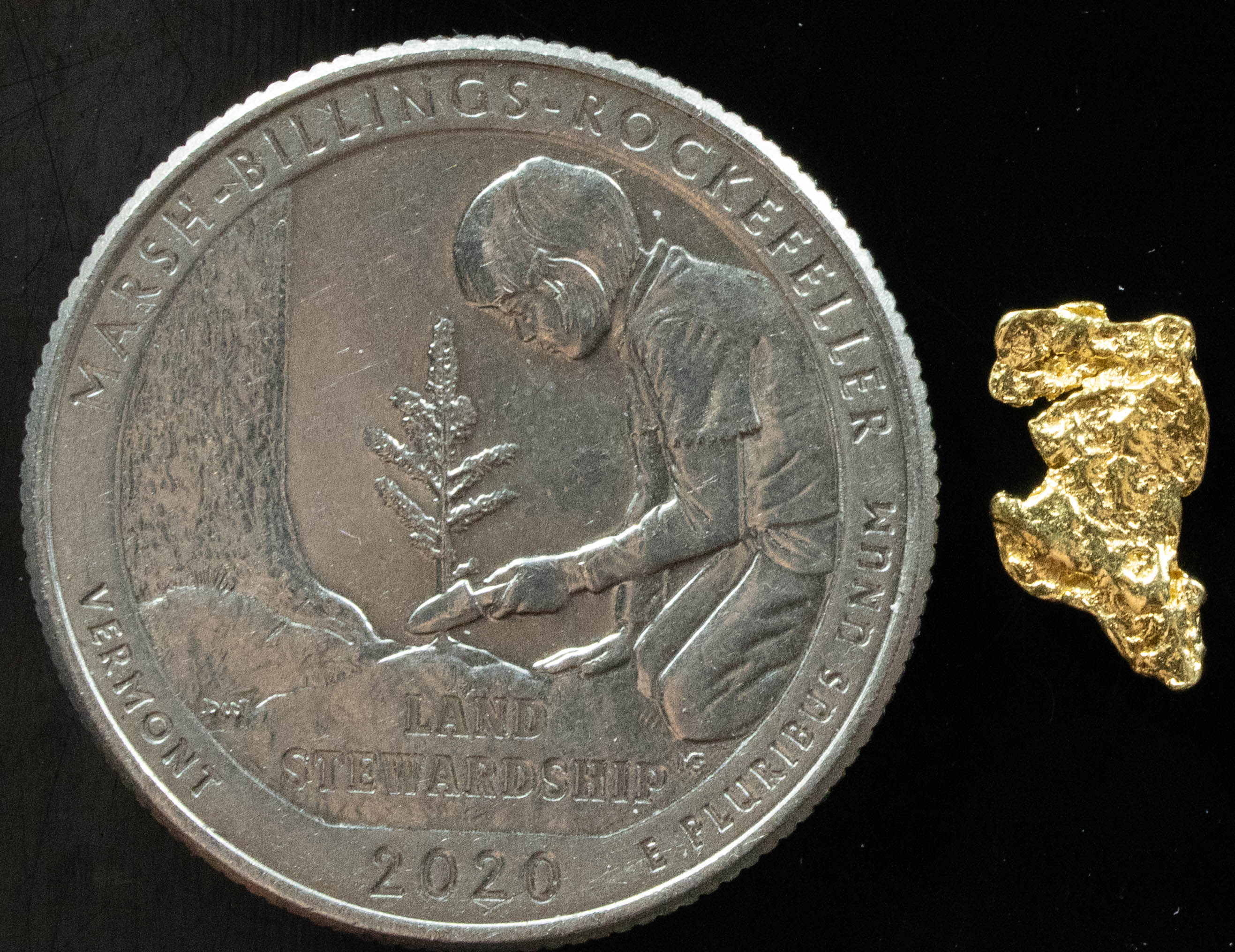 L-18 Exotic Leaf Alaskan BC Natural Gold Nugget .39 Grams Genuine