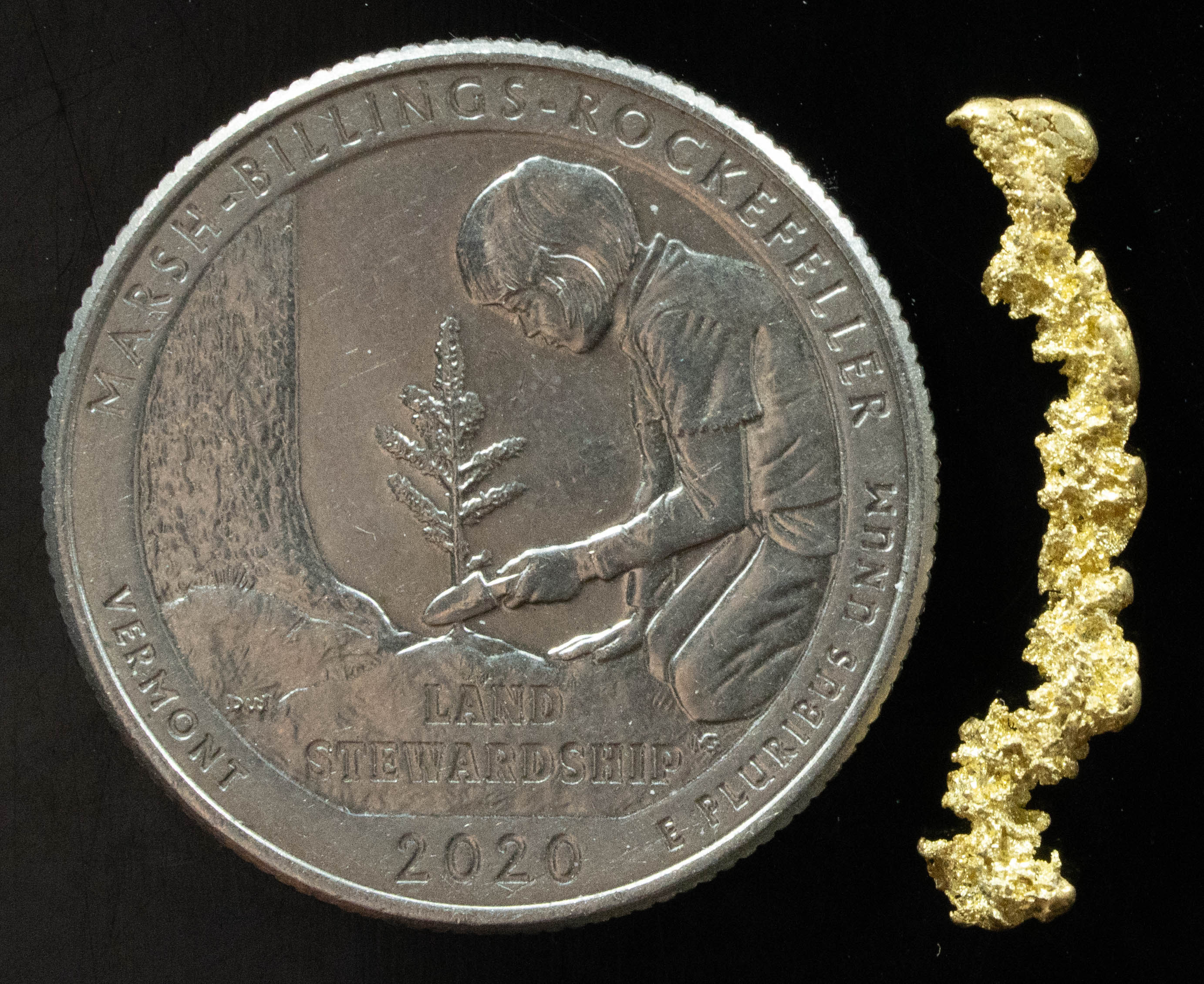 L-129 Exotic Leaf Alaskan BC Natural Gold Nugget .69 Grams Genuine