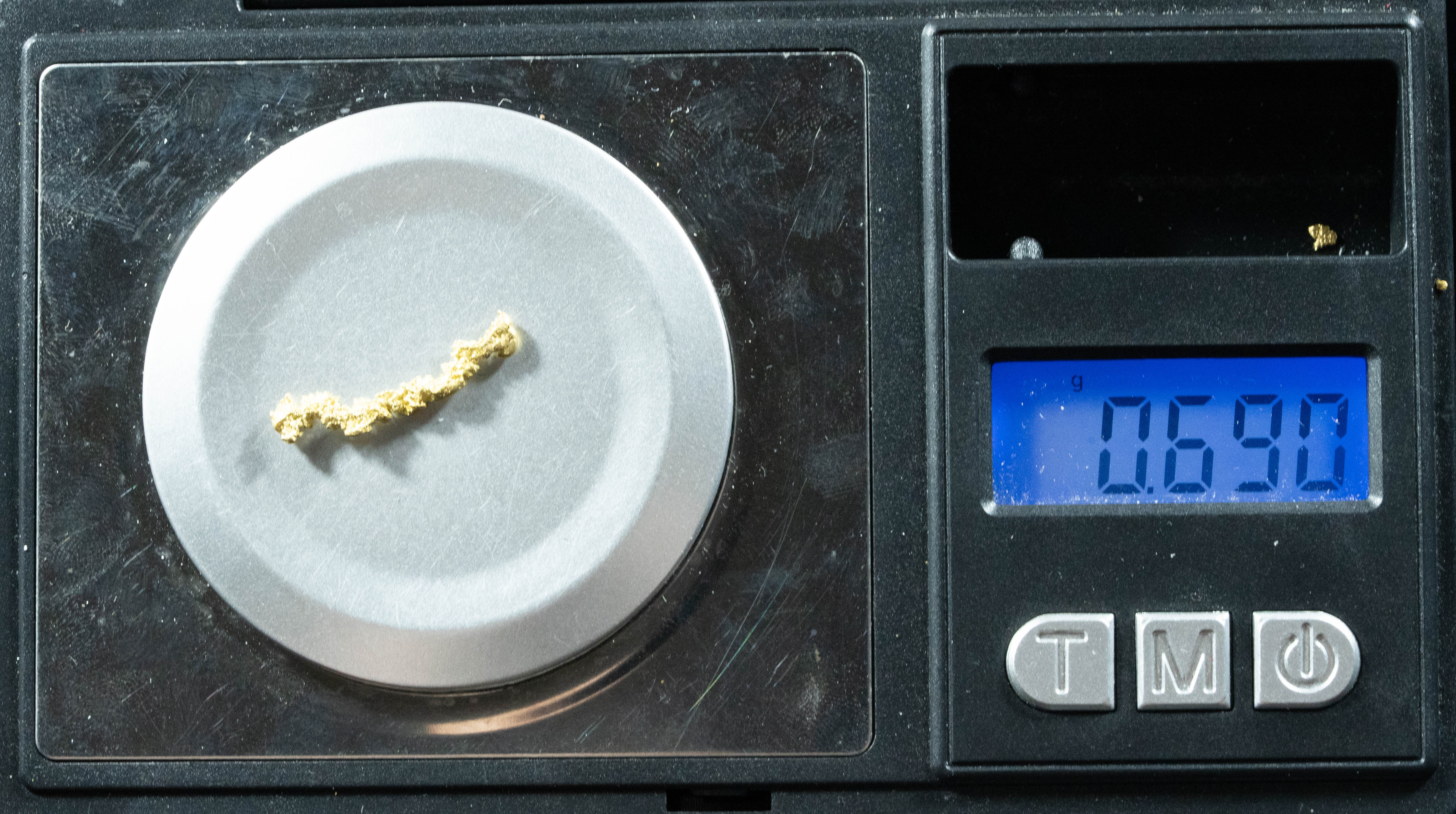 L-129 Exotic Leaf Alaskan BC Natural Gold Nugget .69 Grams Genuine