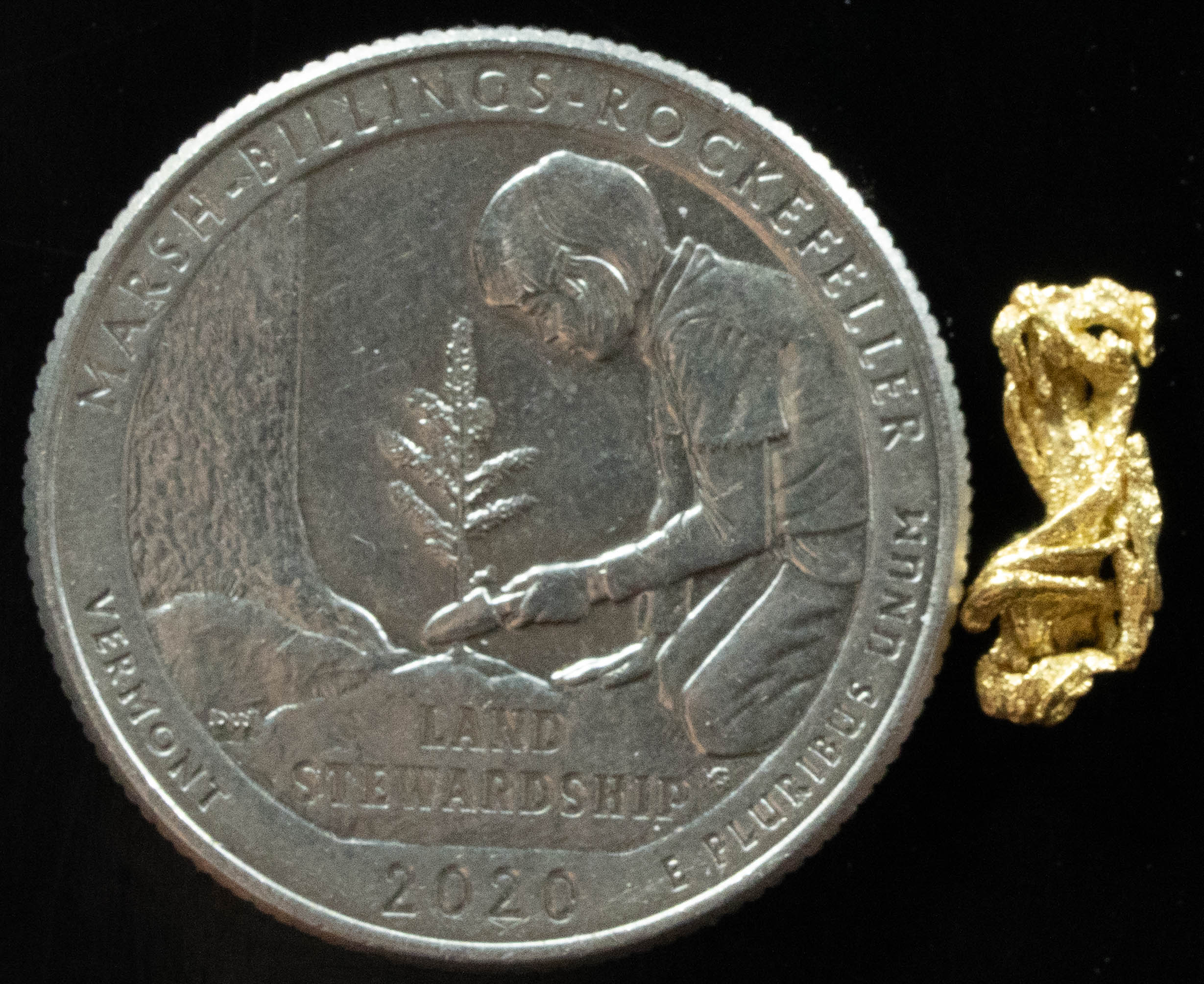 L-19 Exotic Dendritic Alaskan BC Natural Gold Nugget .418 Grams Genuine