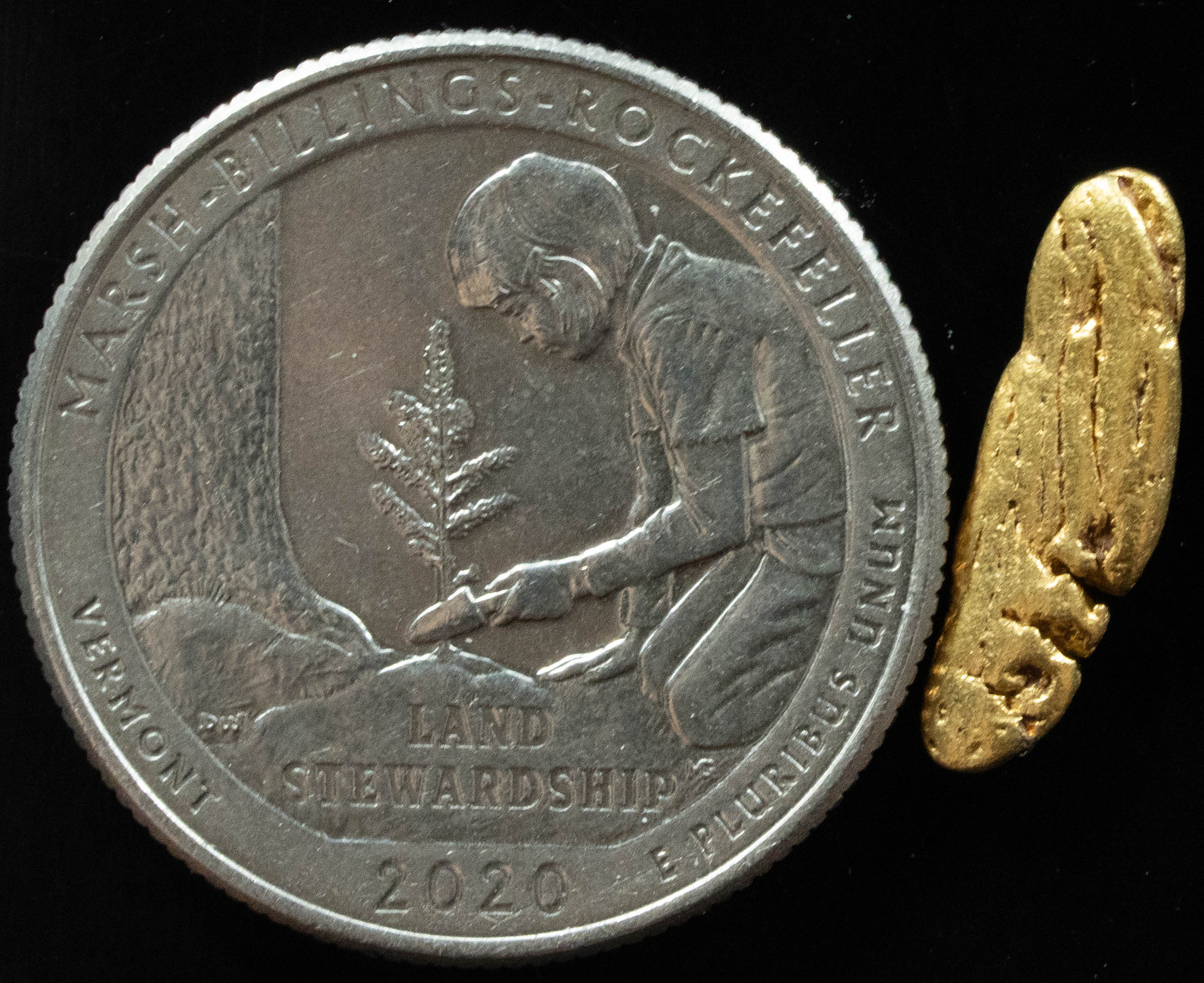L-20 Exotic Dendritic Alaskan BC Natural Gold Nugget .833 Grams Genuine