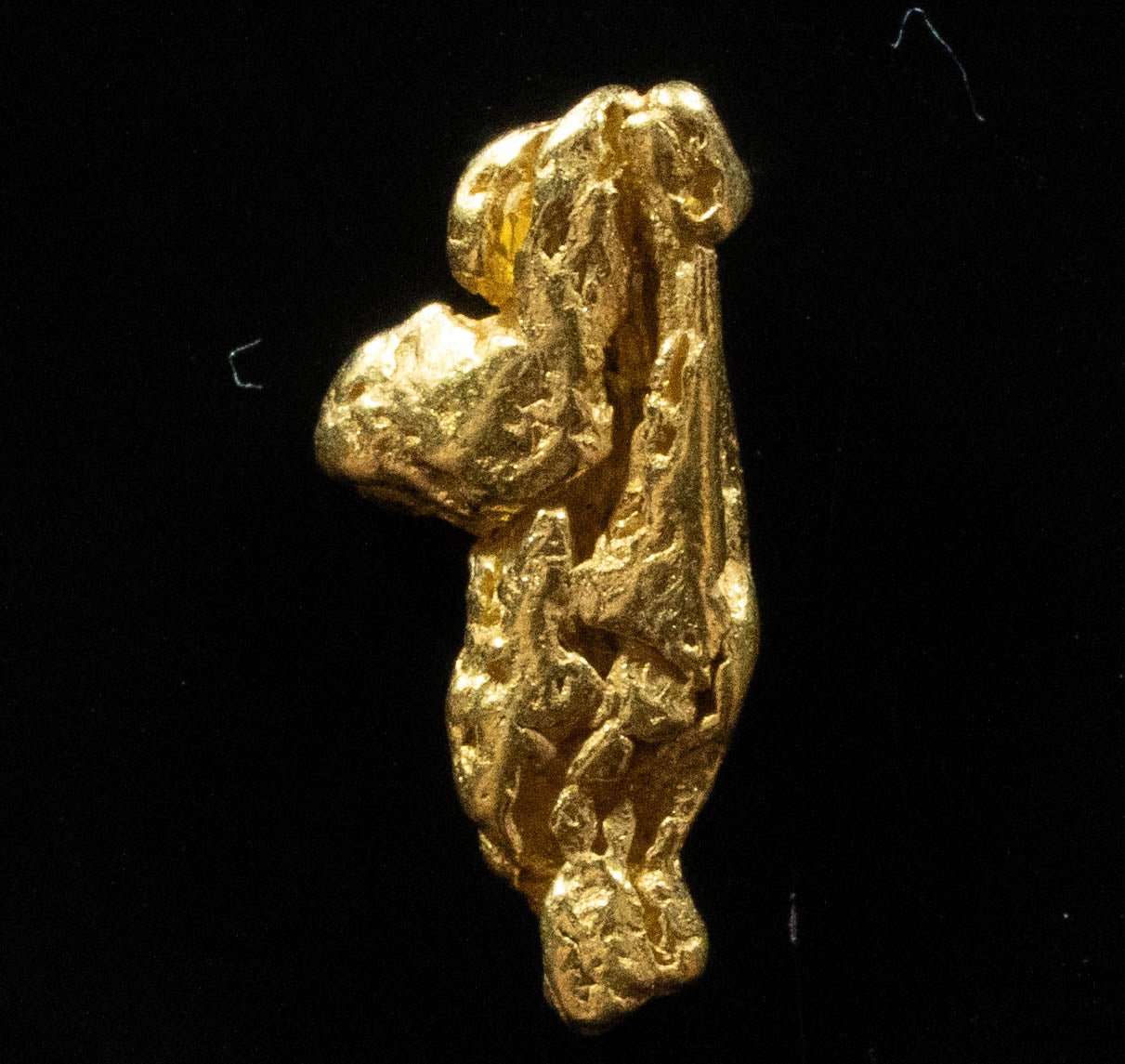 L-21 Exotic Dendritic Alaskan BC Natural Gold Nugget .592 Grams Genuine