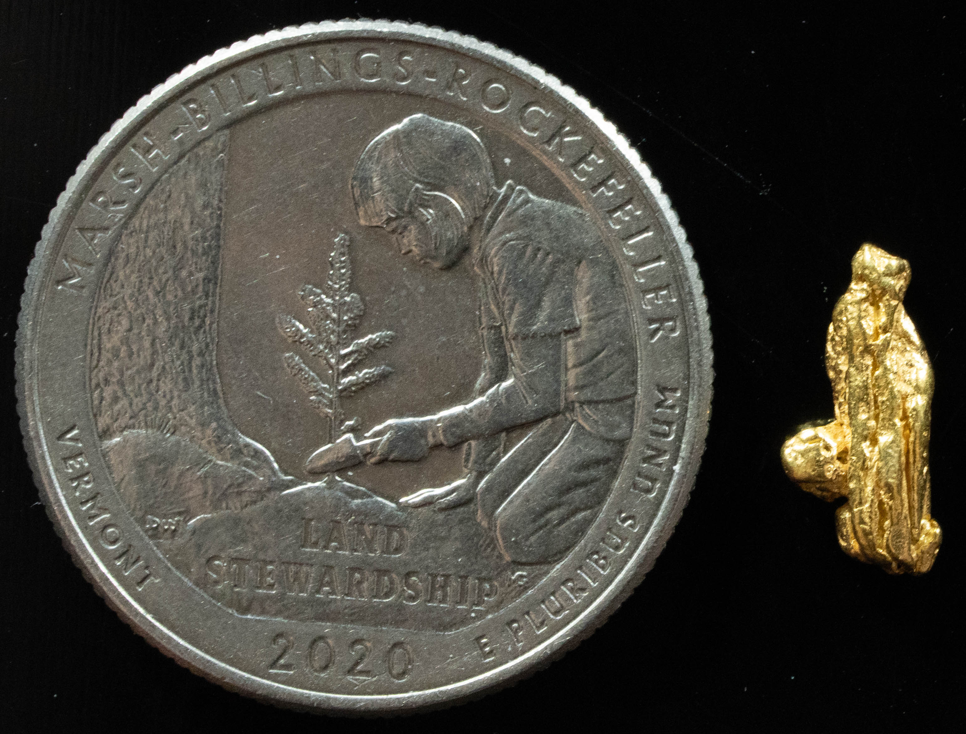 L-21 Exotic Dendritic Alaskan BC Natural Gold Nugget .592 Grams Genuine