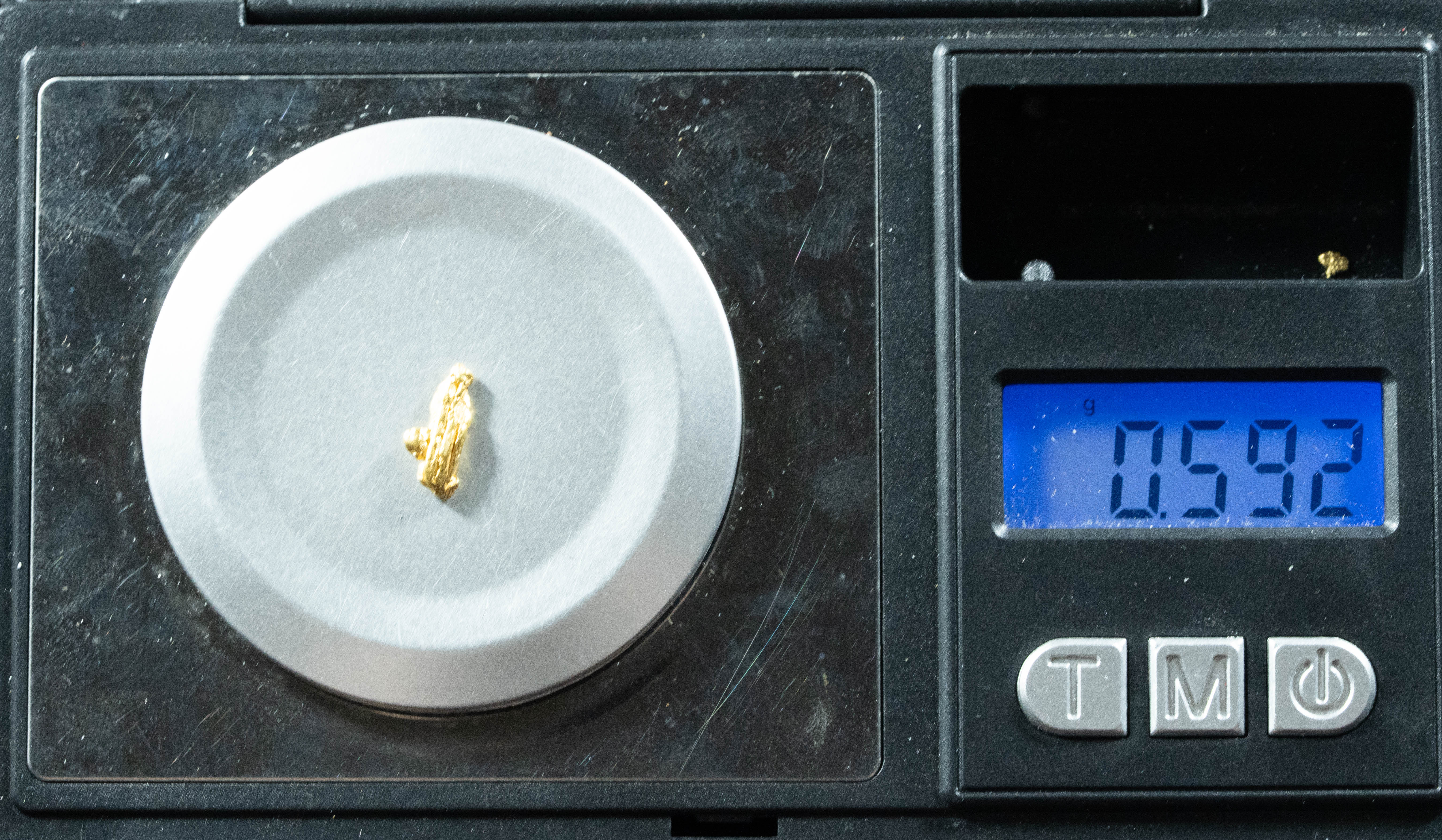 L-21 Exotic Dendritic Alaskan BC Natural Gold Nugget .592 Grams Genuine