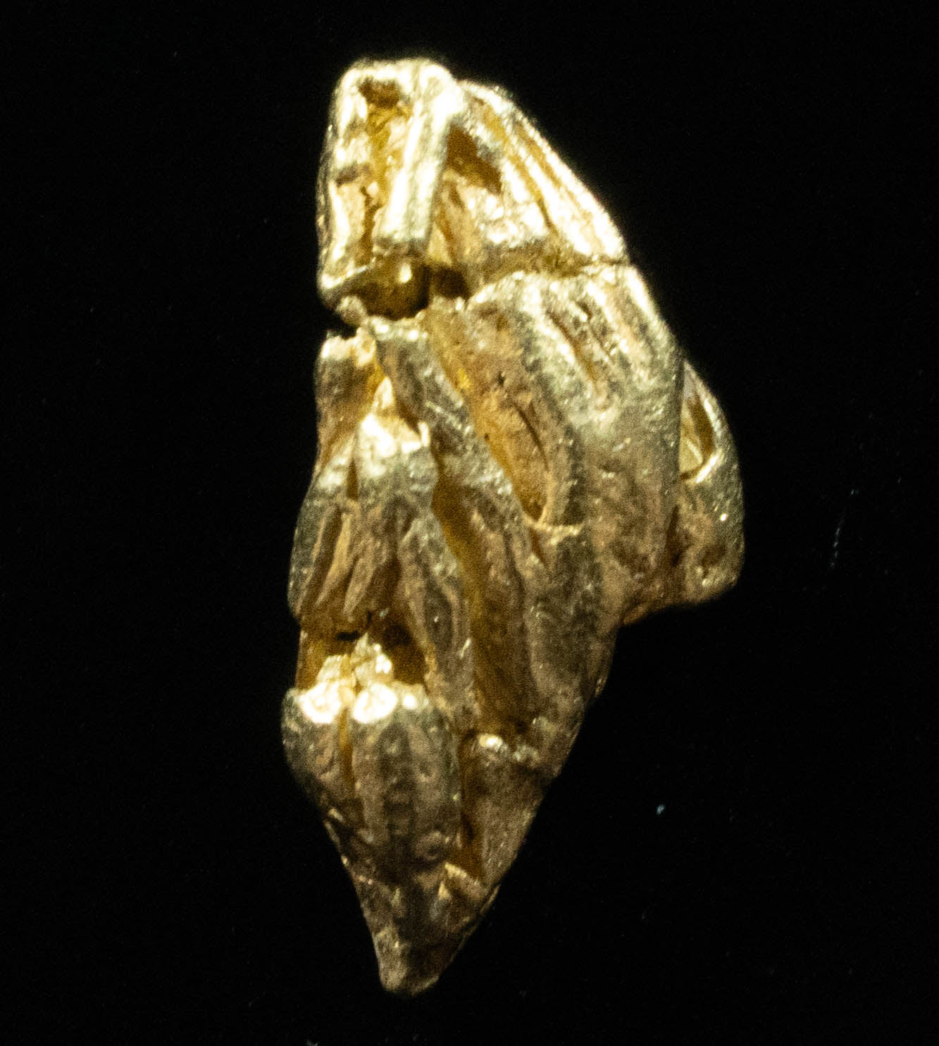 L-22 Exotic Dendritic Alaskan BC Natural Gold Nugget .949 Grams Genuine
