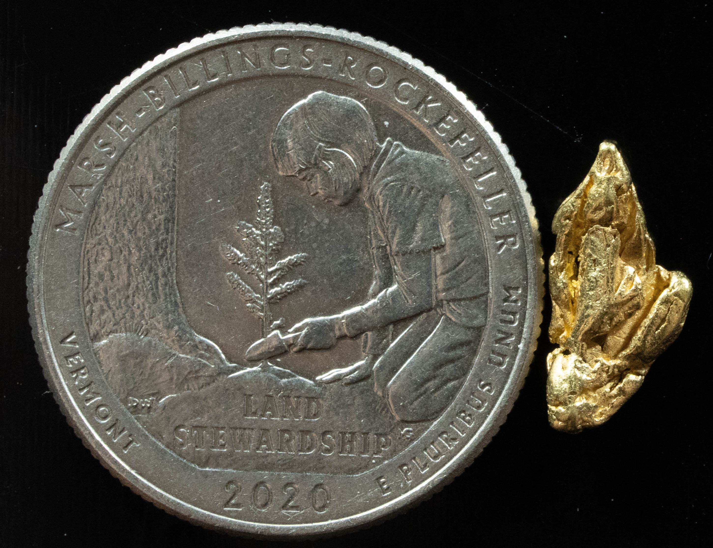 L-22 Exotic Dendritic Alaskan BC Natural Gold Nugget .949 Grams Genuine