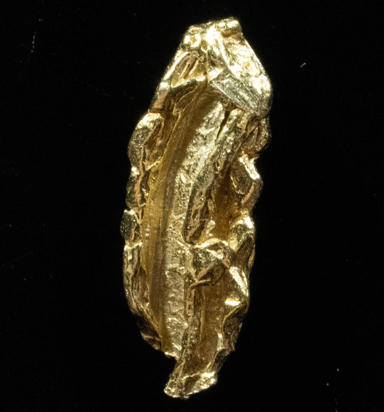 L-23 Exotic Dendritic Alaskan BC Natural Gold Nugget .547 Grams Genuine