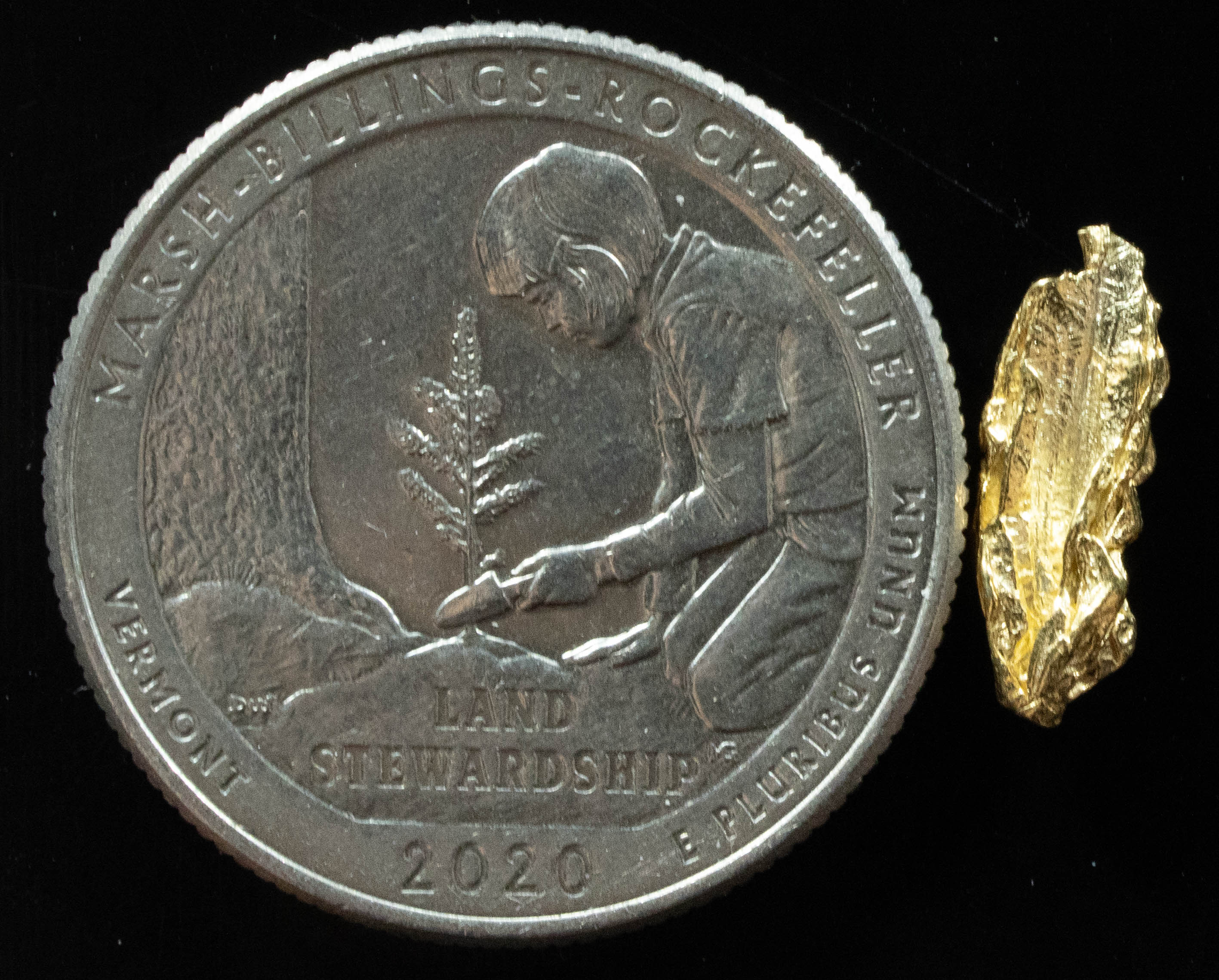 L-23 Exotic Dendritic Alaskan BC Natural Gold Nugget .547 Grams Genuine