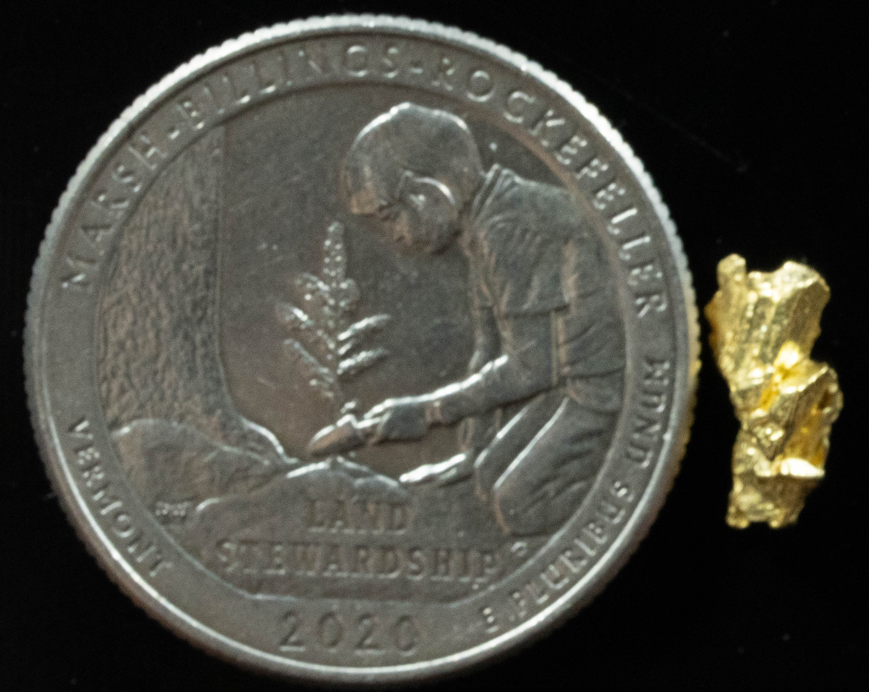 L-24 Exotic Dendritic Alaskan BC Natural Gold Nugget .677 Grams Genuine