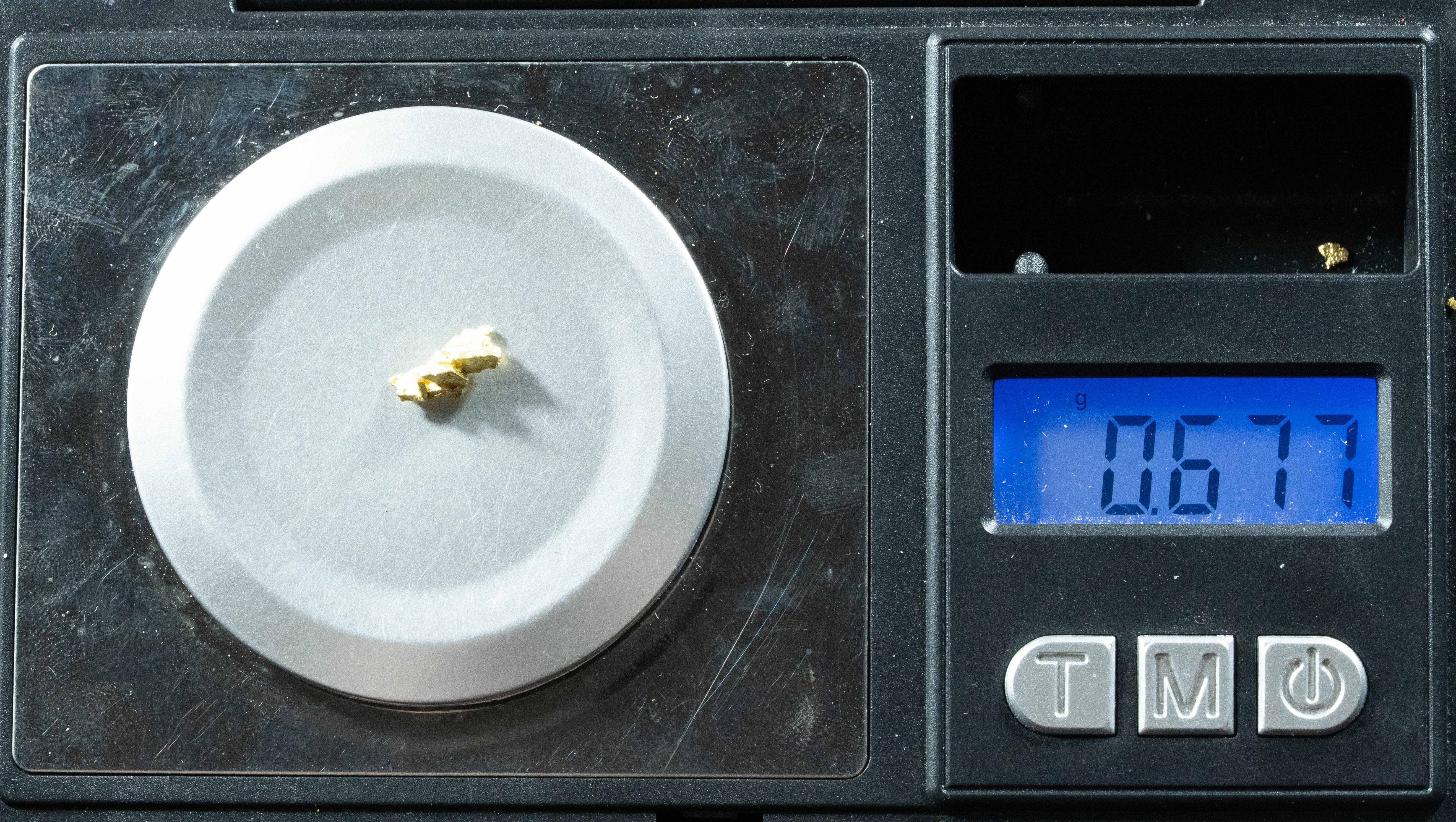 L-24 Exotic Dendritic Alaskan BC Natural Gold Nugget .677 Grams Genuine