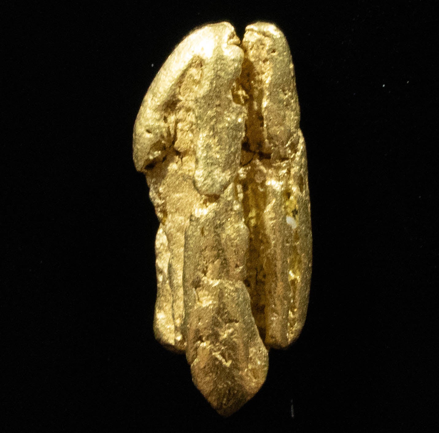 L-25 Exotic Dendritic Alaskan BC Natural Gold Nugget 1.01 Grams Genuine