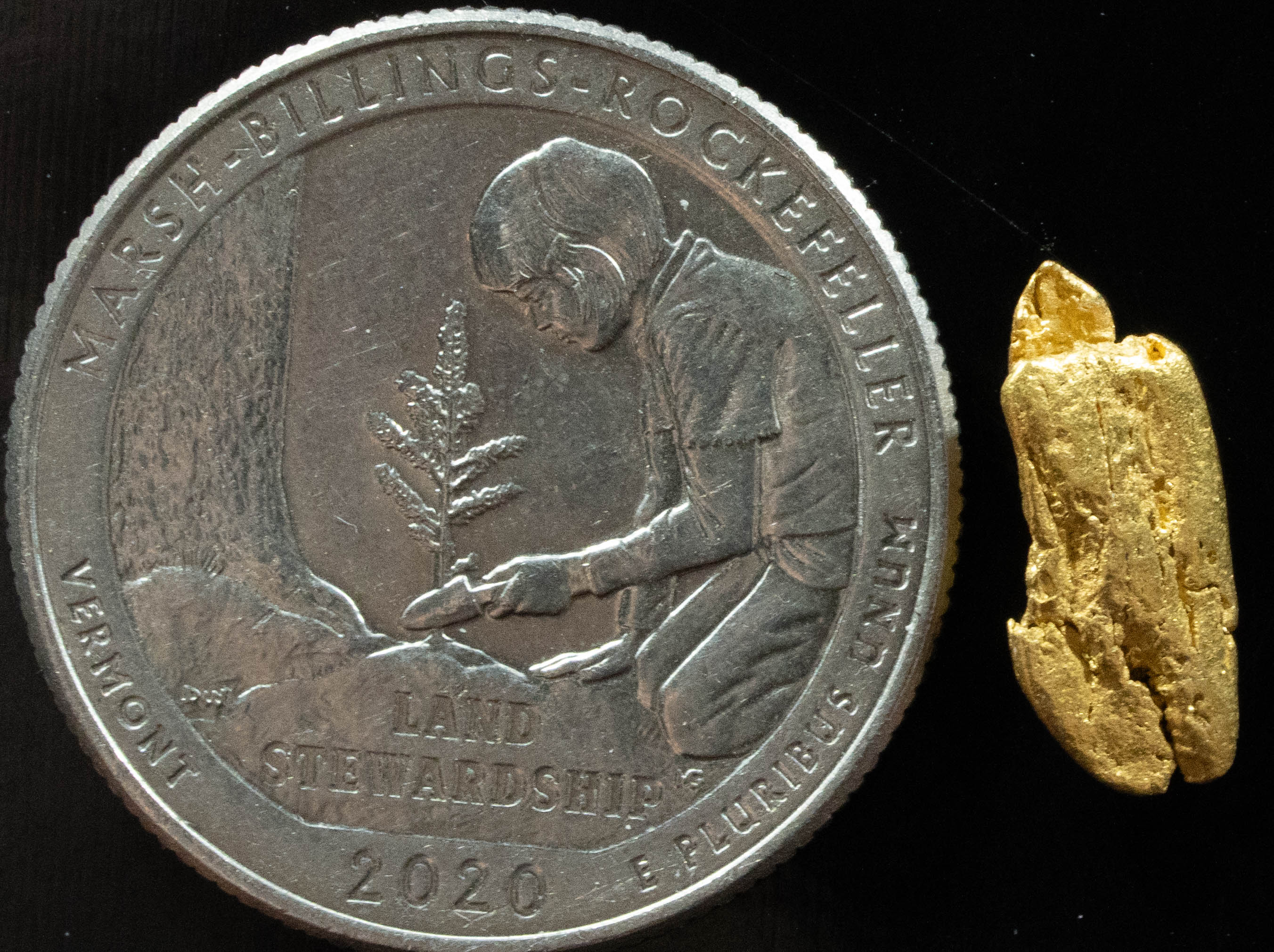L-25 Exotic Dendritic Alaskan BC Natural Gold Nugget 1.01 Grams Genuine