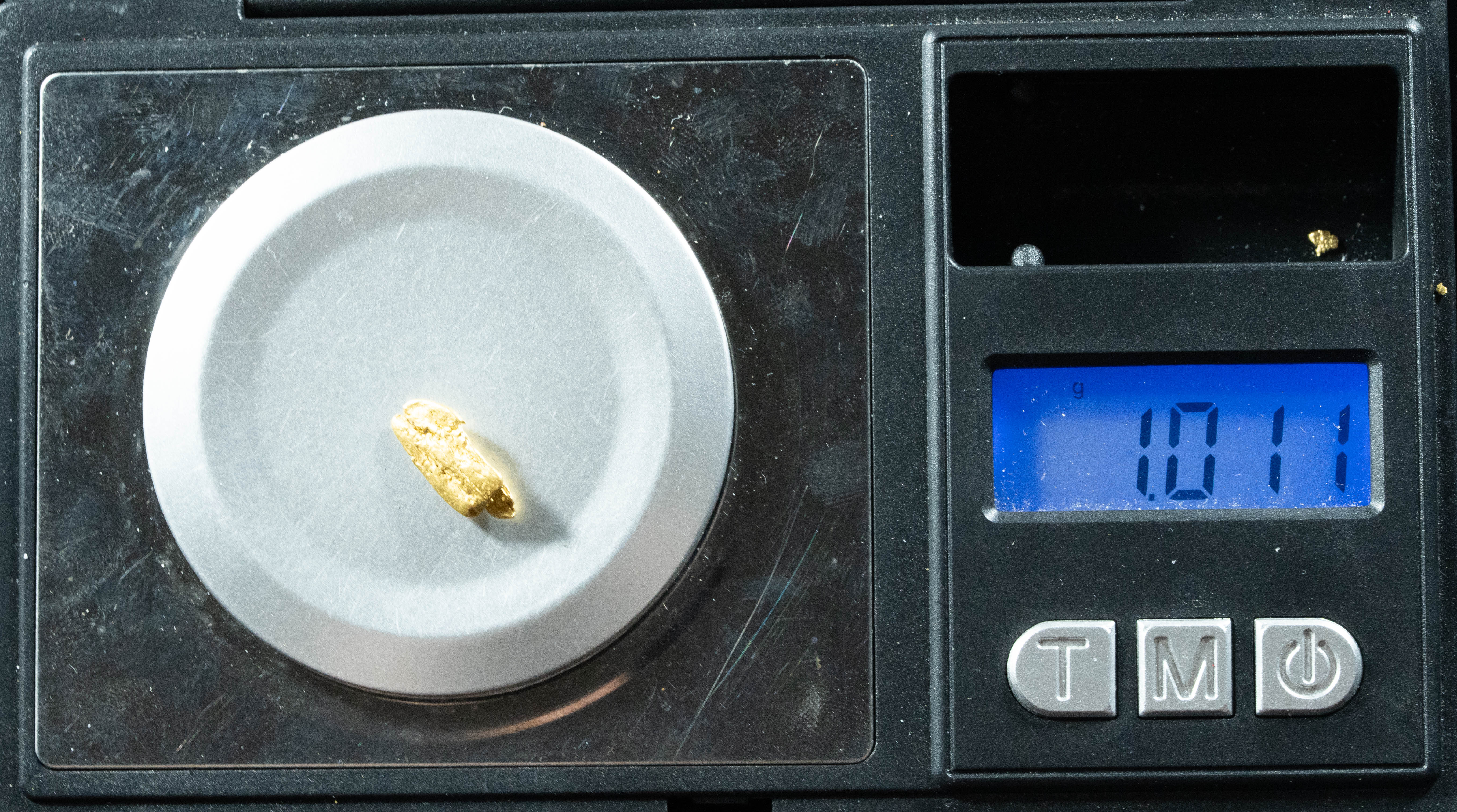 L-25 Exotic Dendritic Alaskan BC Natural Gold Nugget 1.01 Grams Genuine