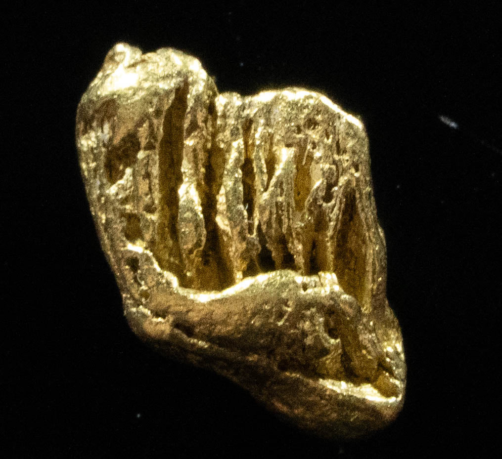 L-26 Exotic Dendritic Alaskan BC Natural Gold Nugget .954 Grams Genuine