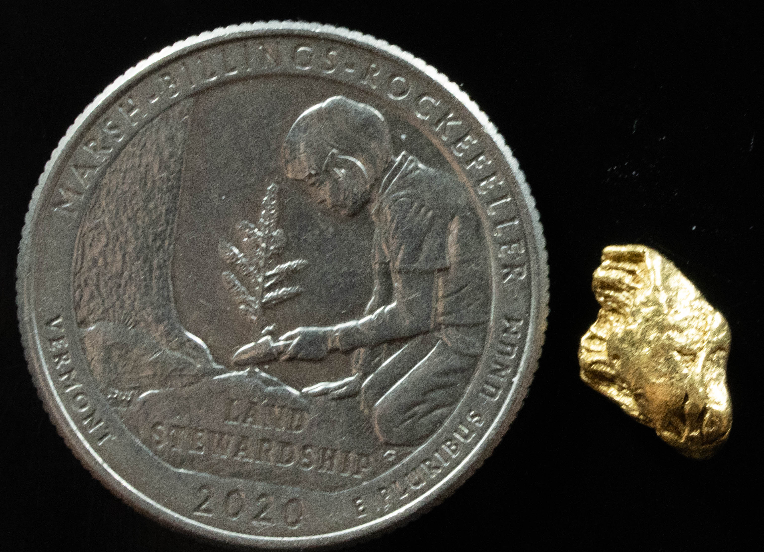 L-26 Exotic Dendritic Alaskan BC Natural Gold Nugget .954 Grams Genuine