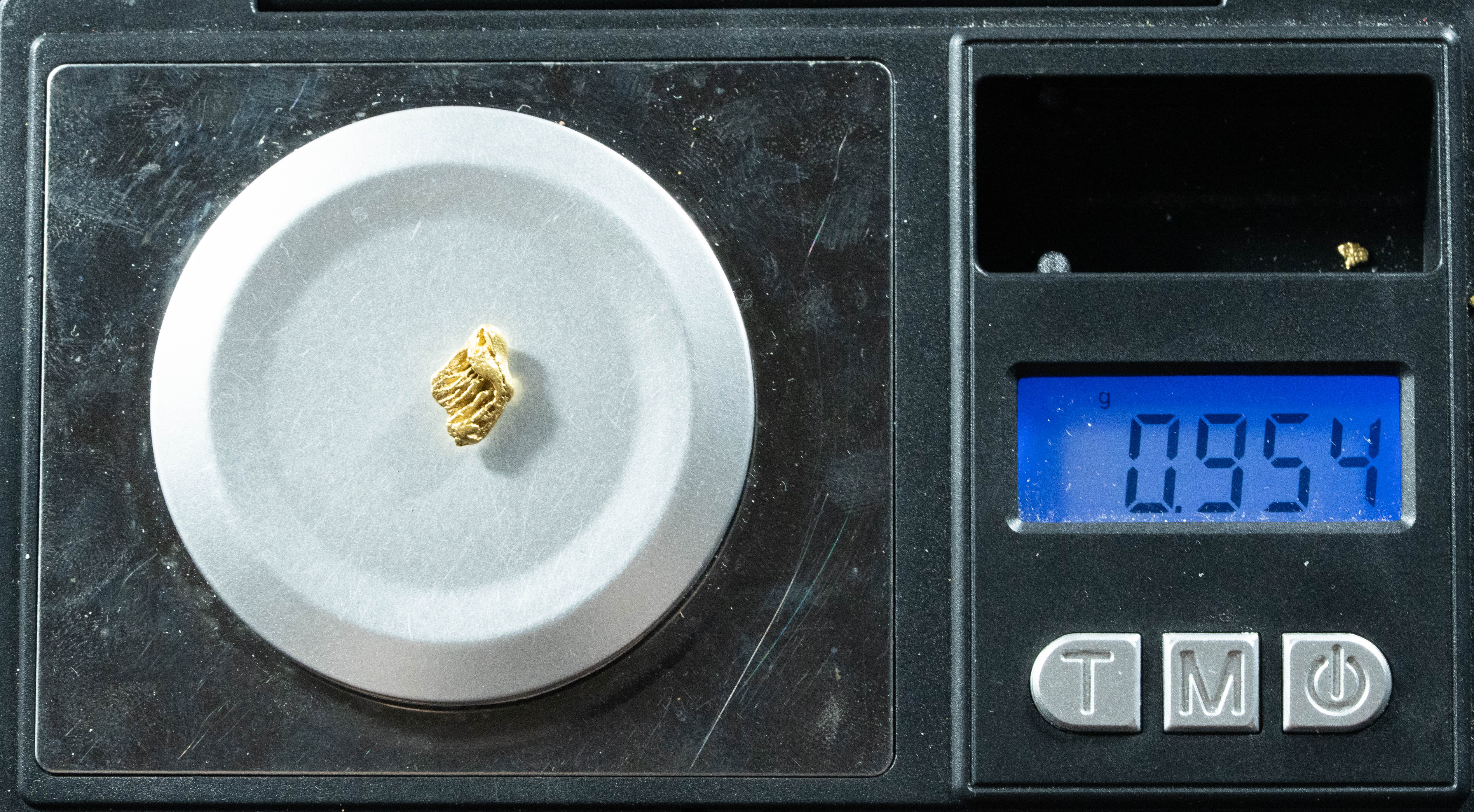 L-26 Exotic Dendritic Alaskan BC Natural Gold Nugget .954 Grams Genuine
