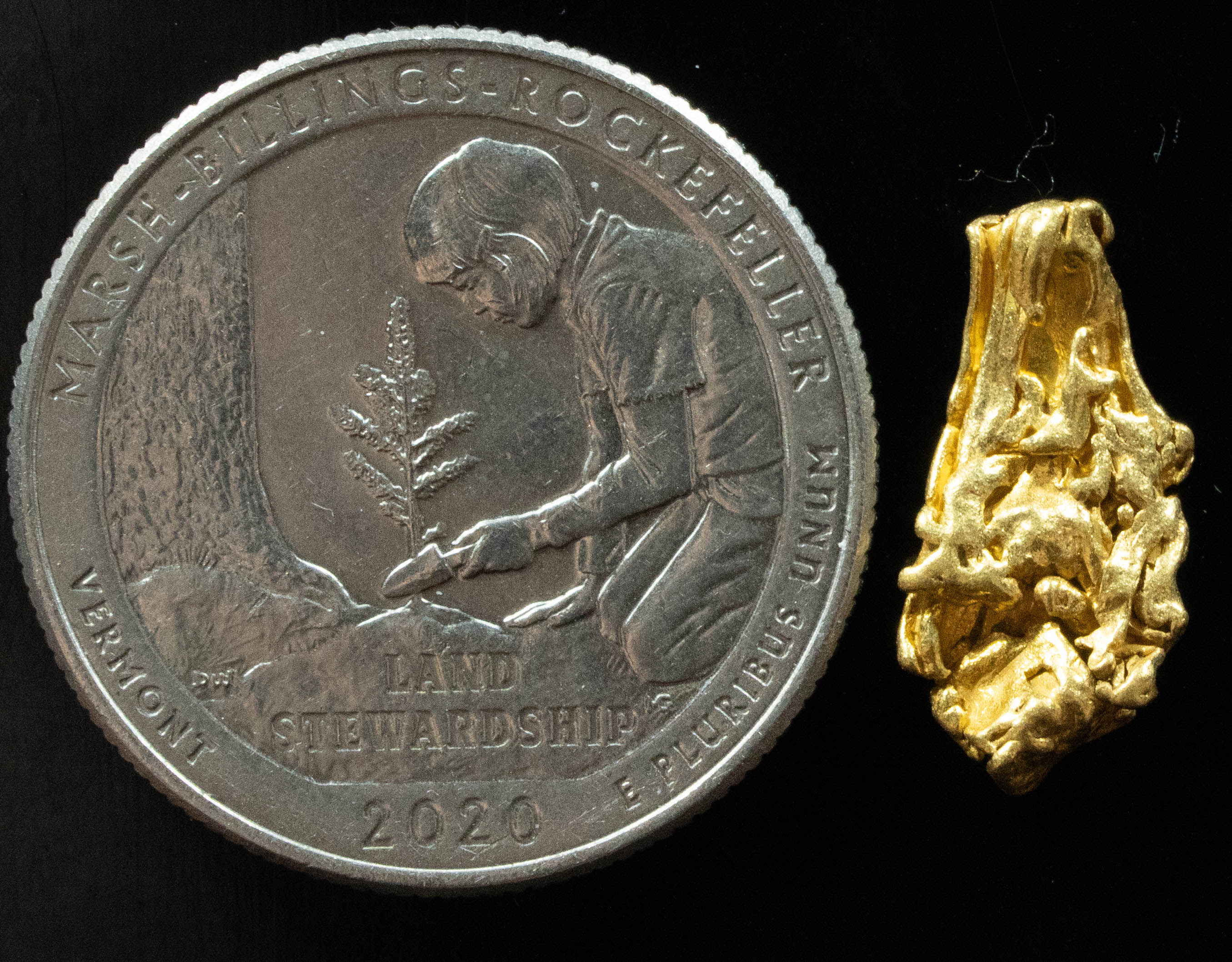 L-28 Exotic Dendritic Alaskan BC Natural Gold Nugget 1.48 Grams Genuine