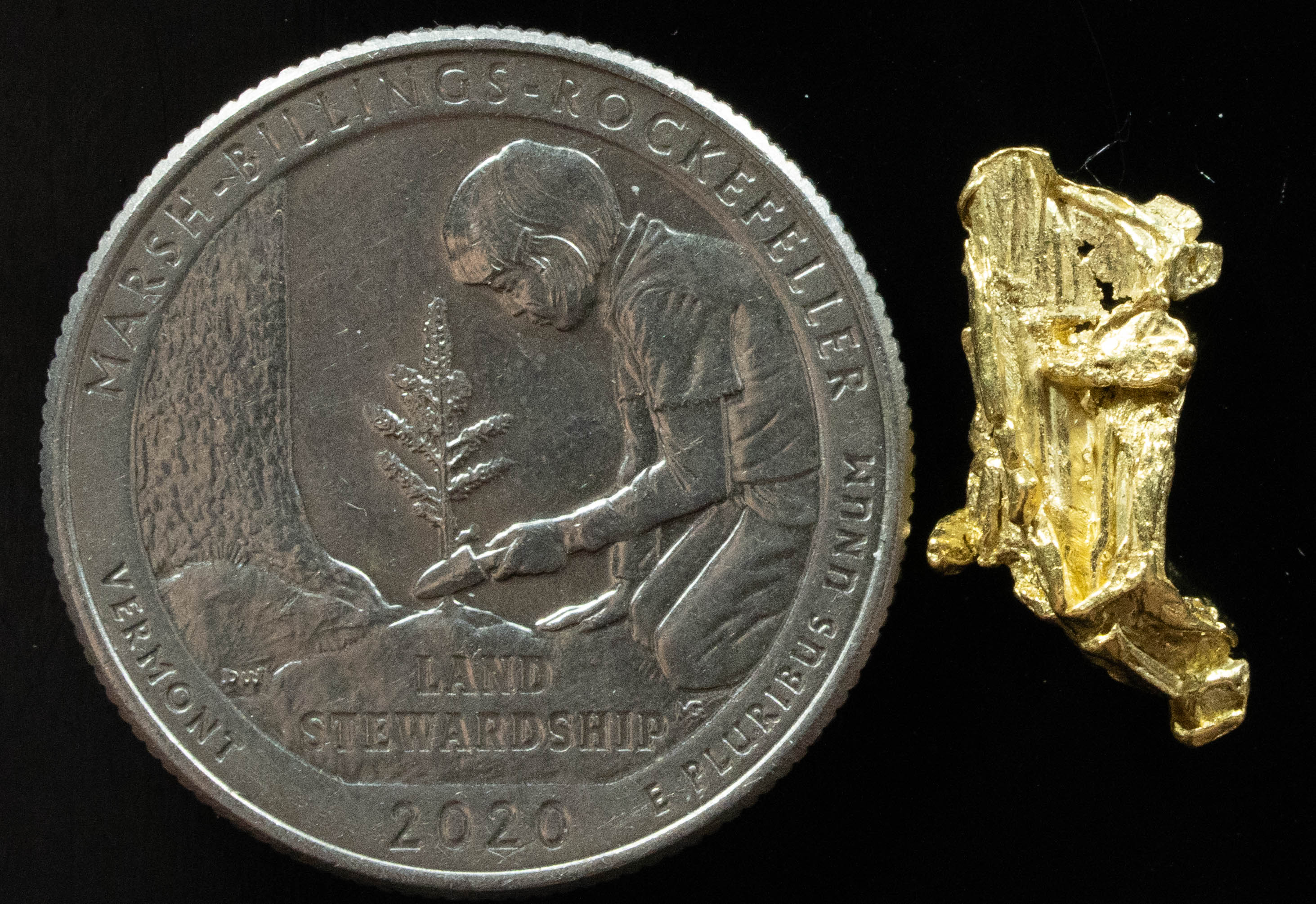 L-29 Exotic Dendritic Alaskan BC Natural Gold Nugget 1.02 Grams Genuine