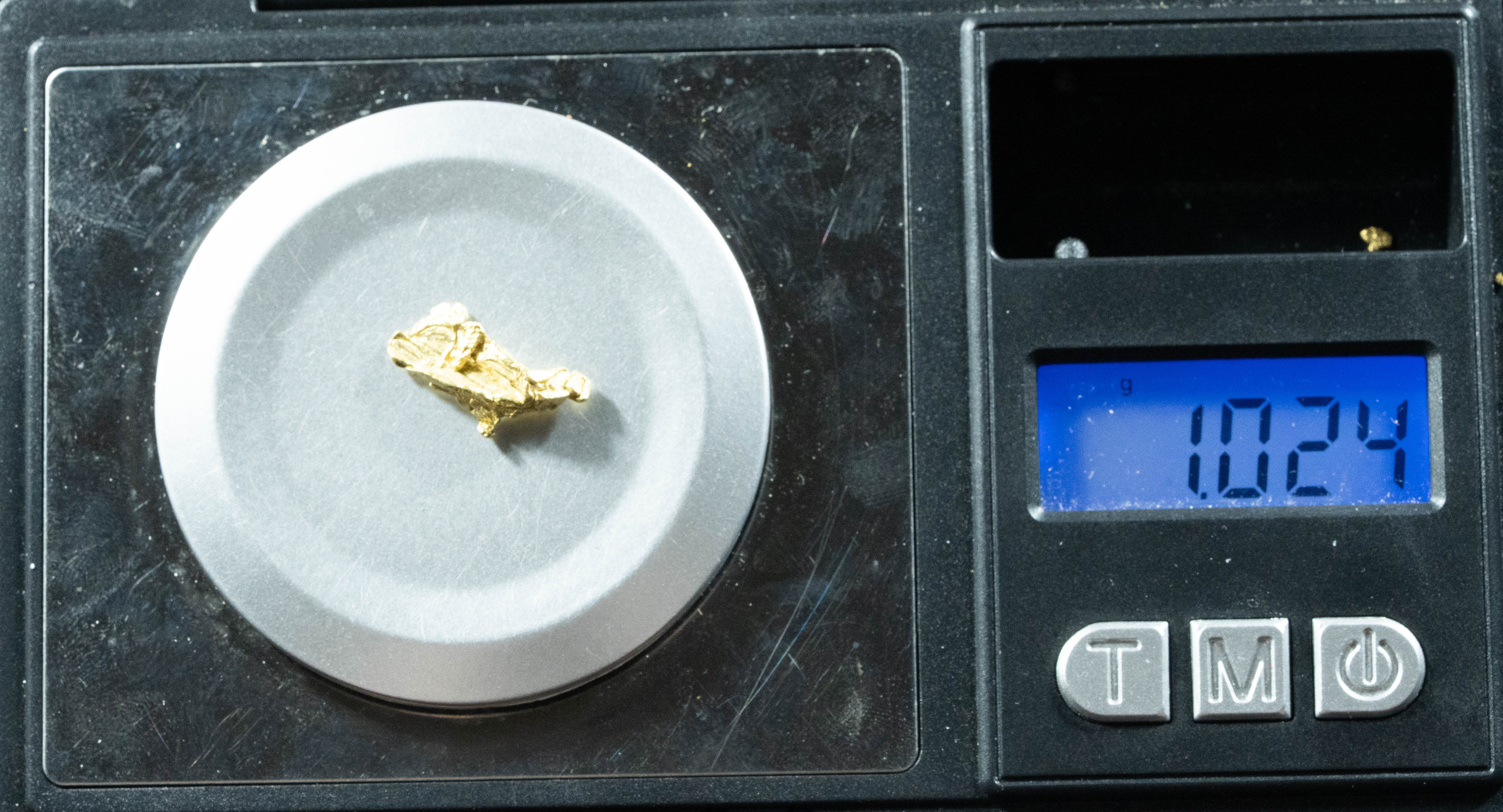 L-29 Exotic Dendritic Alaskan BC Natural Gold Nugget 1.02 Grams Genuine