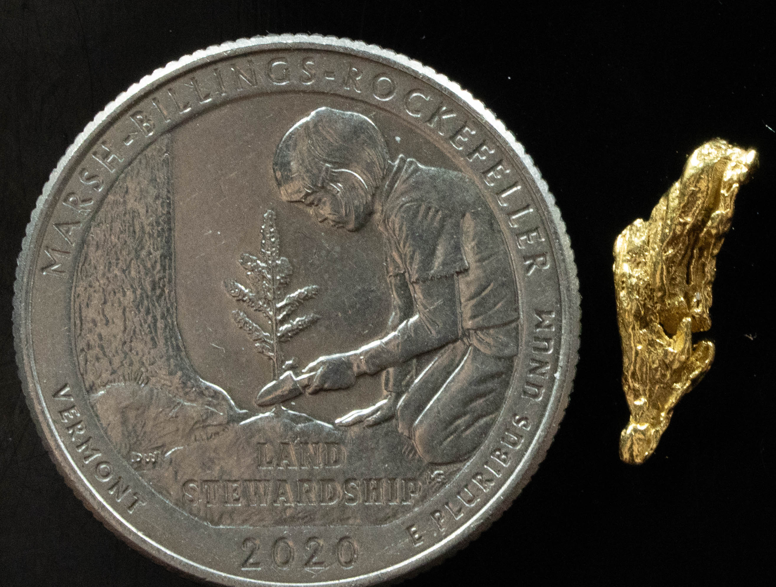 L-30 Exotic Dendritic Alaskan BC Natural Gold Nugget .52 Grams Genuine