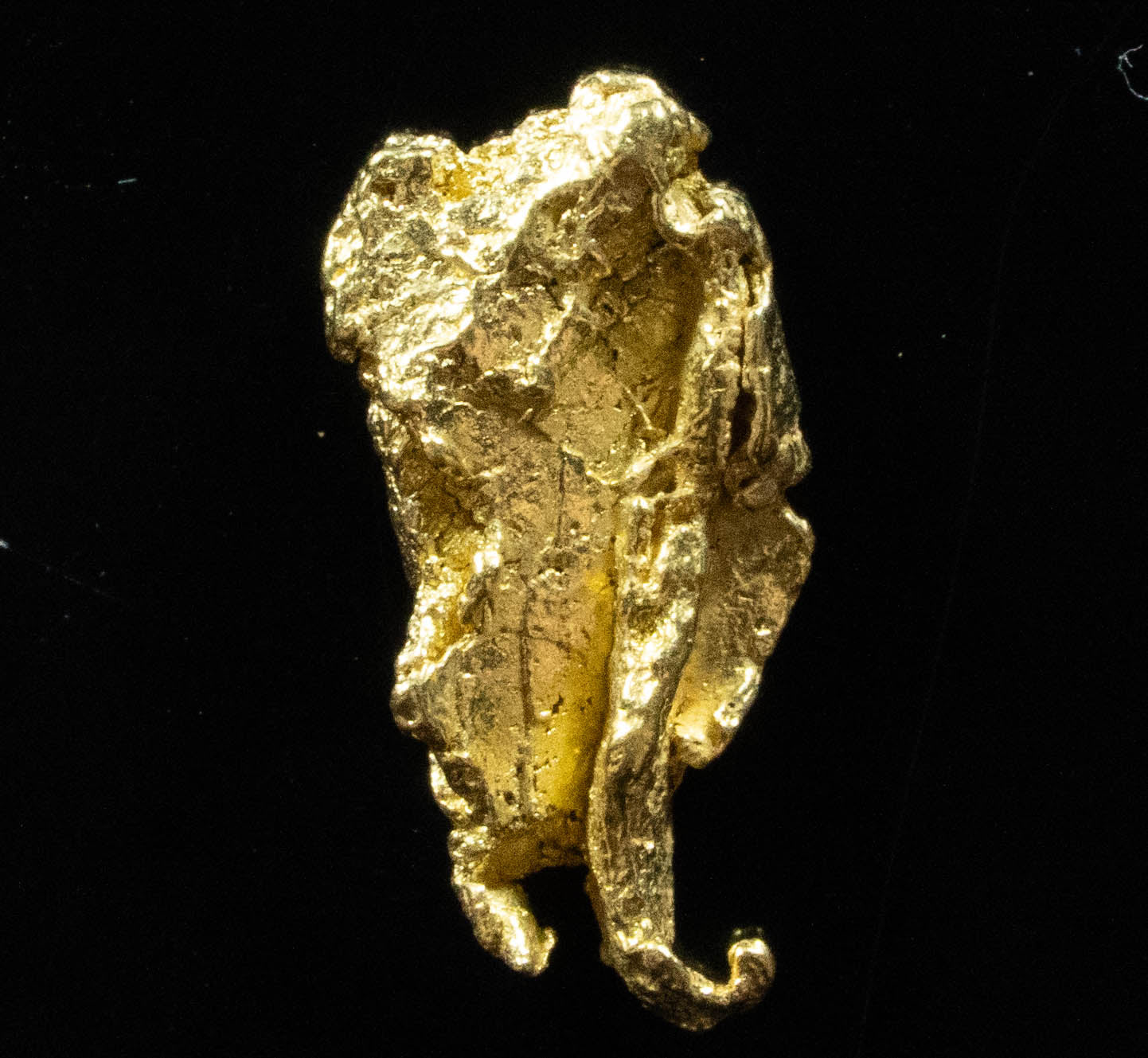 L-31 Exotic Dendritic Alaskan BC Natural Gold Nugget .979 Grams Genuine