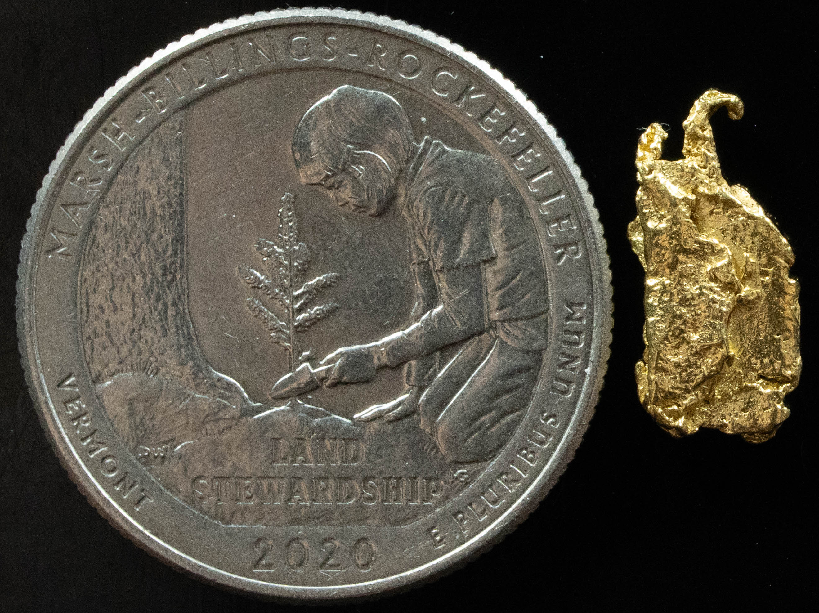 L-31 Exotic Dendritic Alaskan BC Natural Gold Nugget .979 Grams Genuine