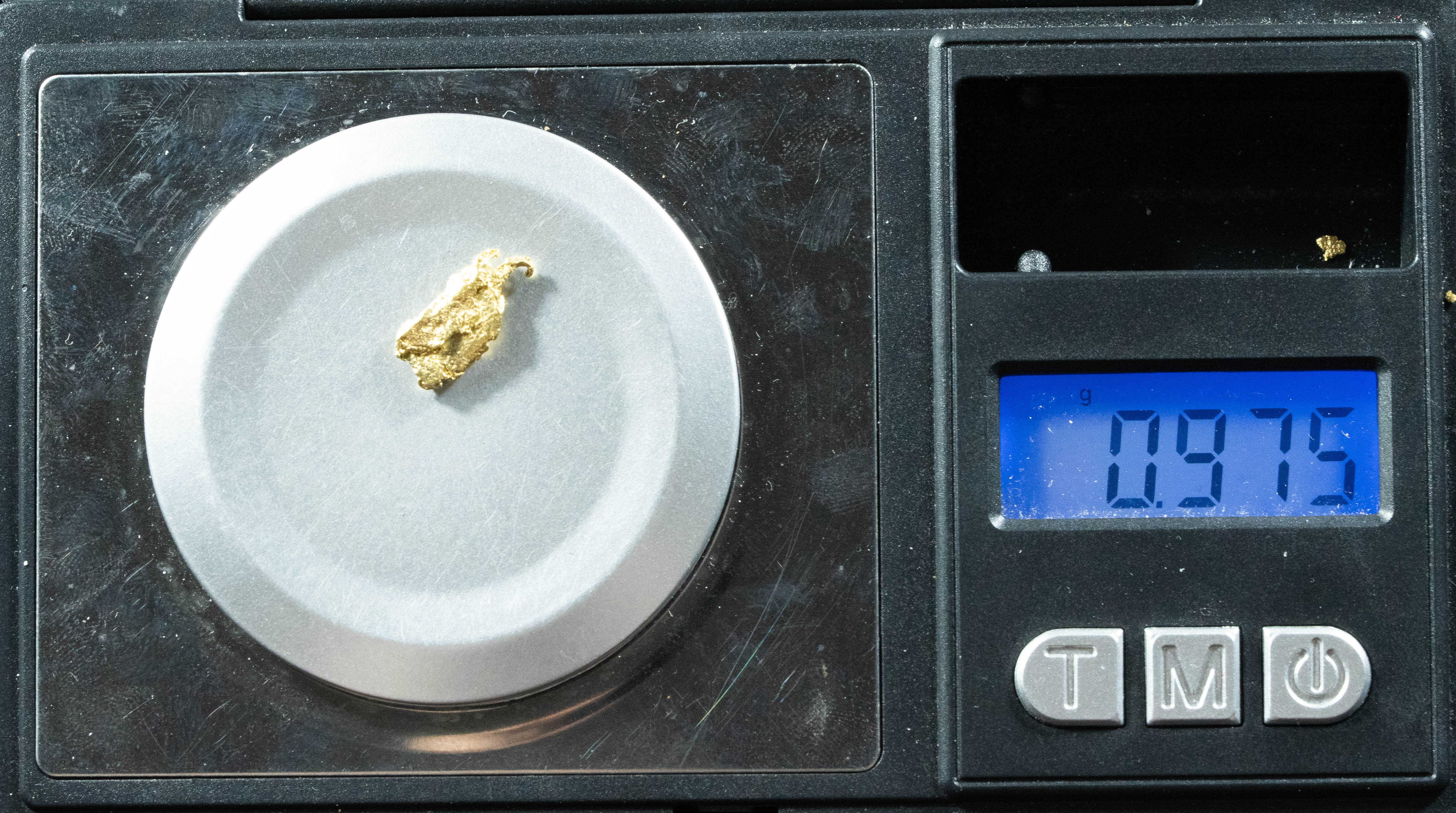 L-31 Exotic Dendritic Alaskan BC Natural Gold Nugget .979 Grams Genuine
