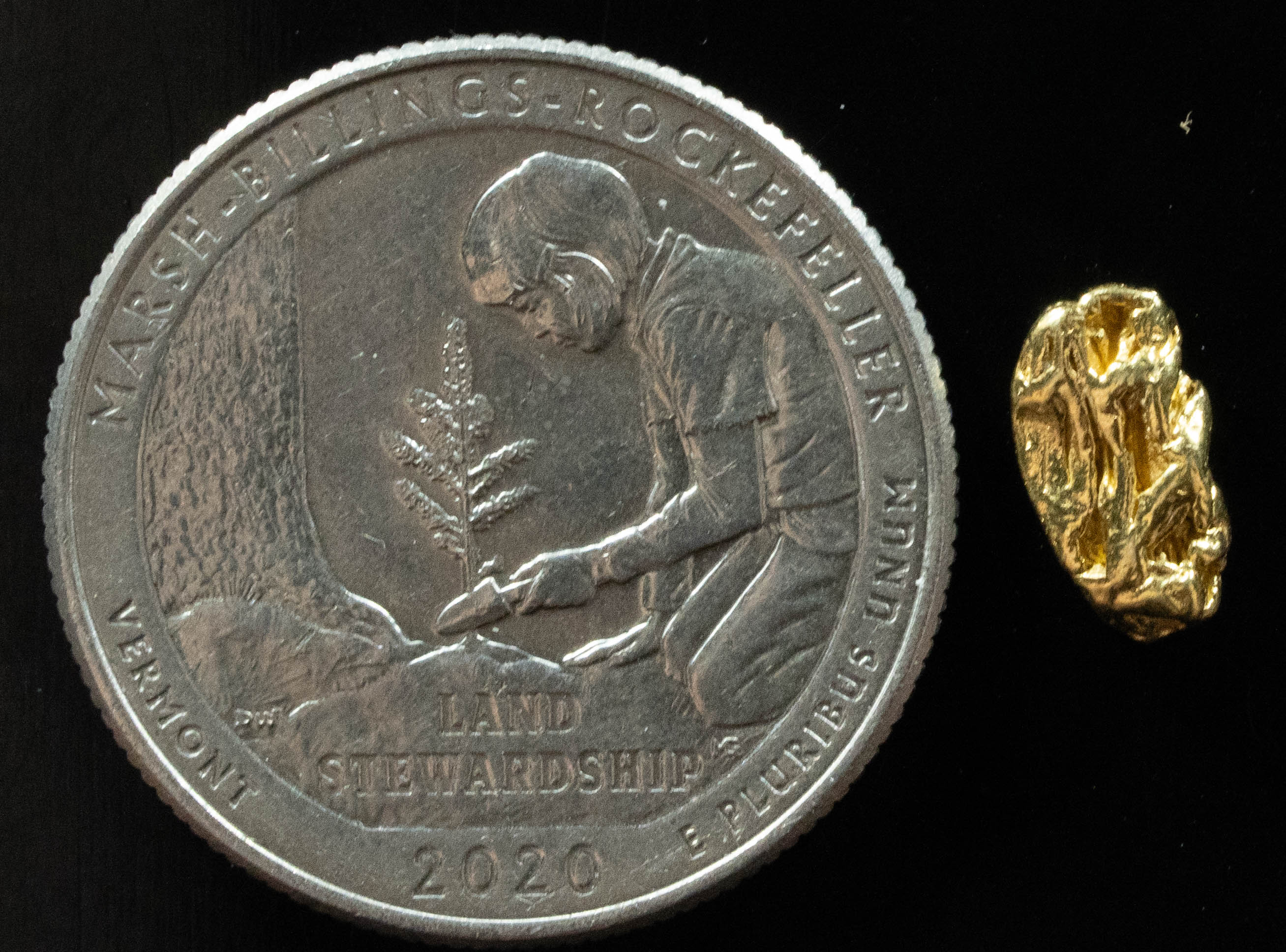 L-32 Exotic Dendritic Alaskan BC Natural Gold Nugget .764 Grams Genuine