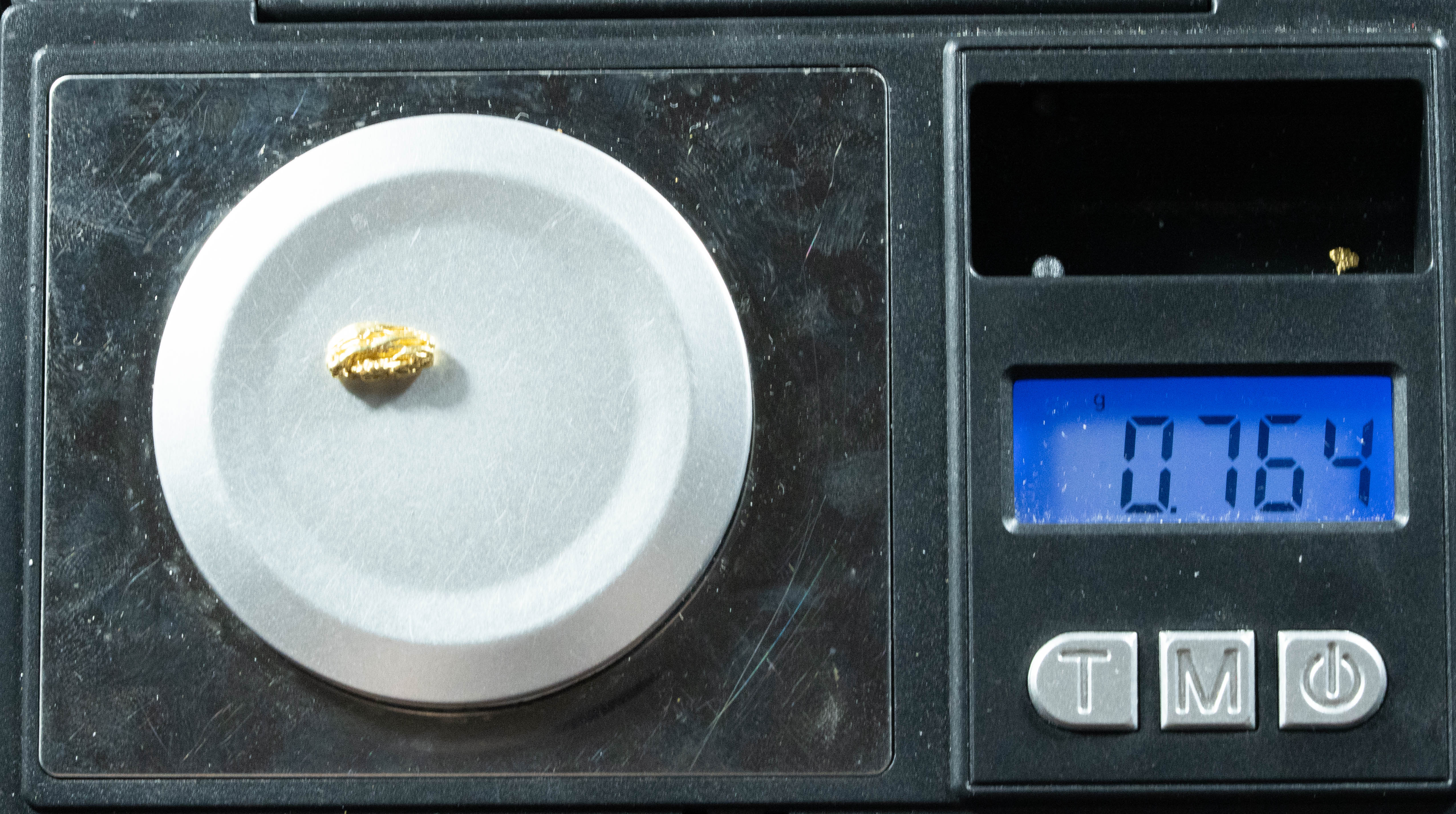 L-32 Exotic Dendritic Alaskan BC Natural Gold Nugget .764 Grams Genuine