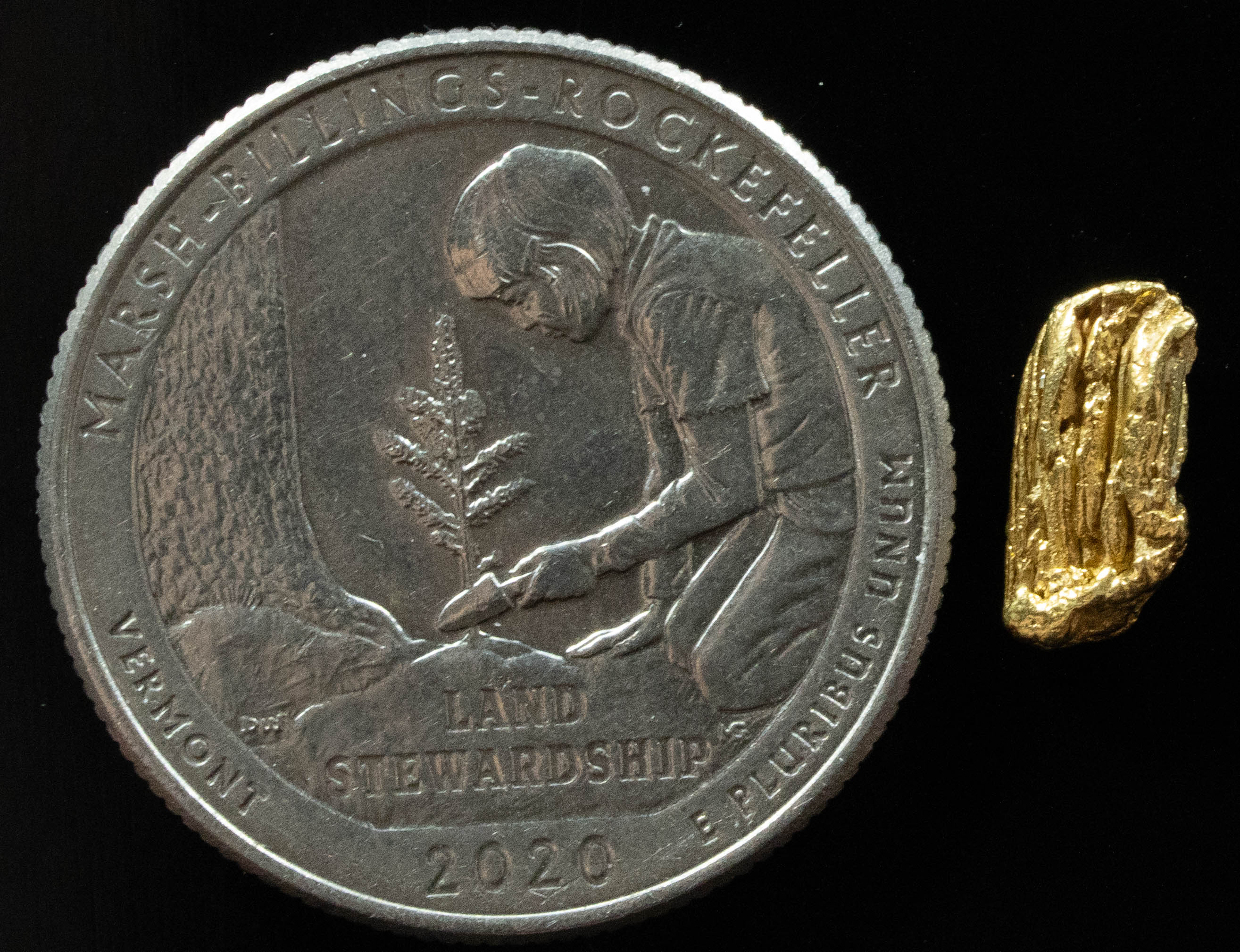 L-33 Exotic Dendritic Alaskan BC Natural Gold Nugget .636 Grams Genuine