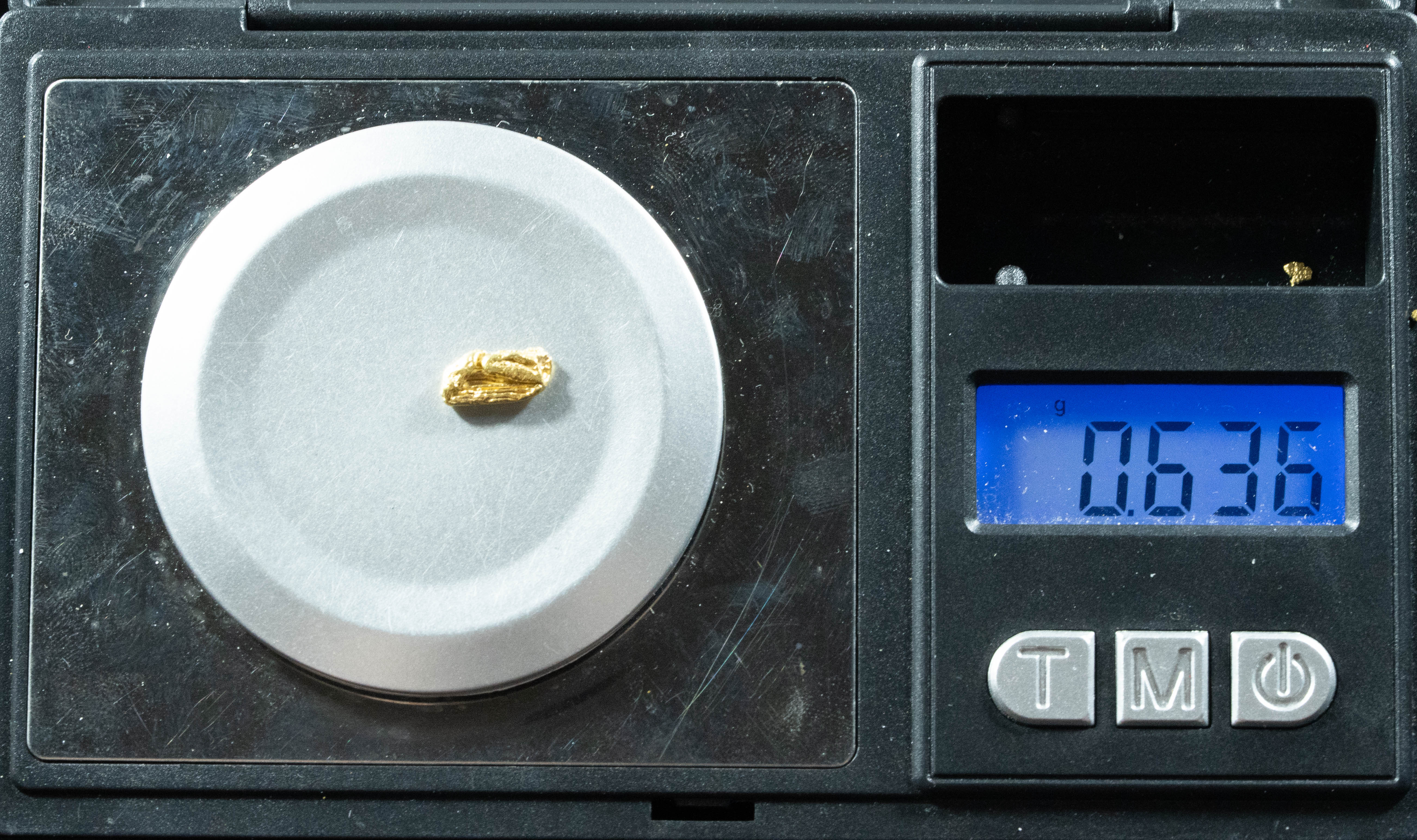 L-33 Exotic Dendritic Alaskan BC Natural Gold Nugget .636 Grams Genuine