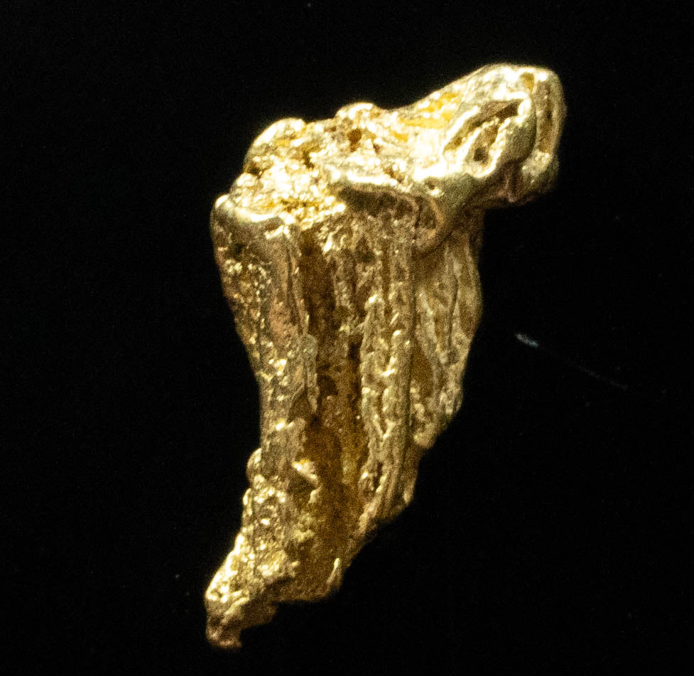 L-34 Exotic Dendritic Alaskan BC Natural Gold Nugget .909 Grams Genuine