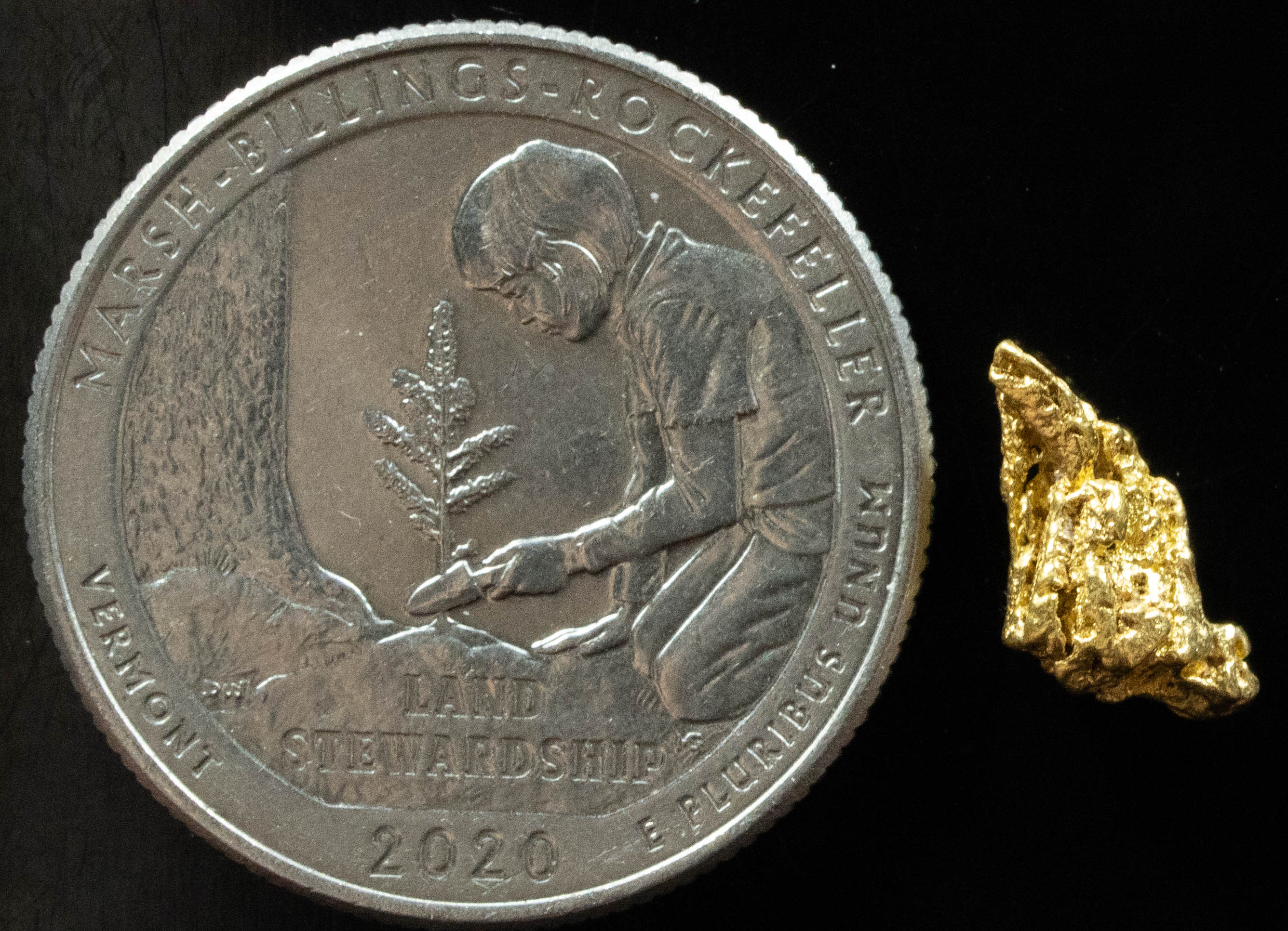 L-34 Exotic Dendritic Alaskan BC Natural Gold Nugget .909 Grams Genuine