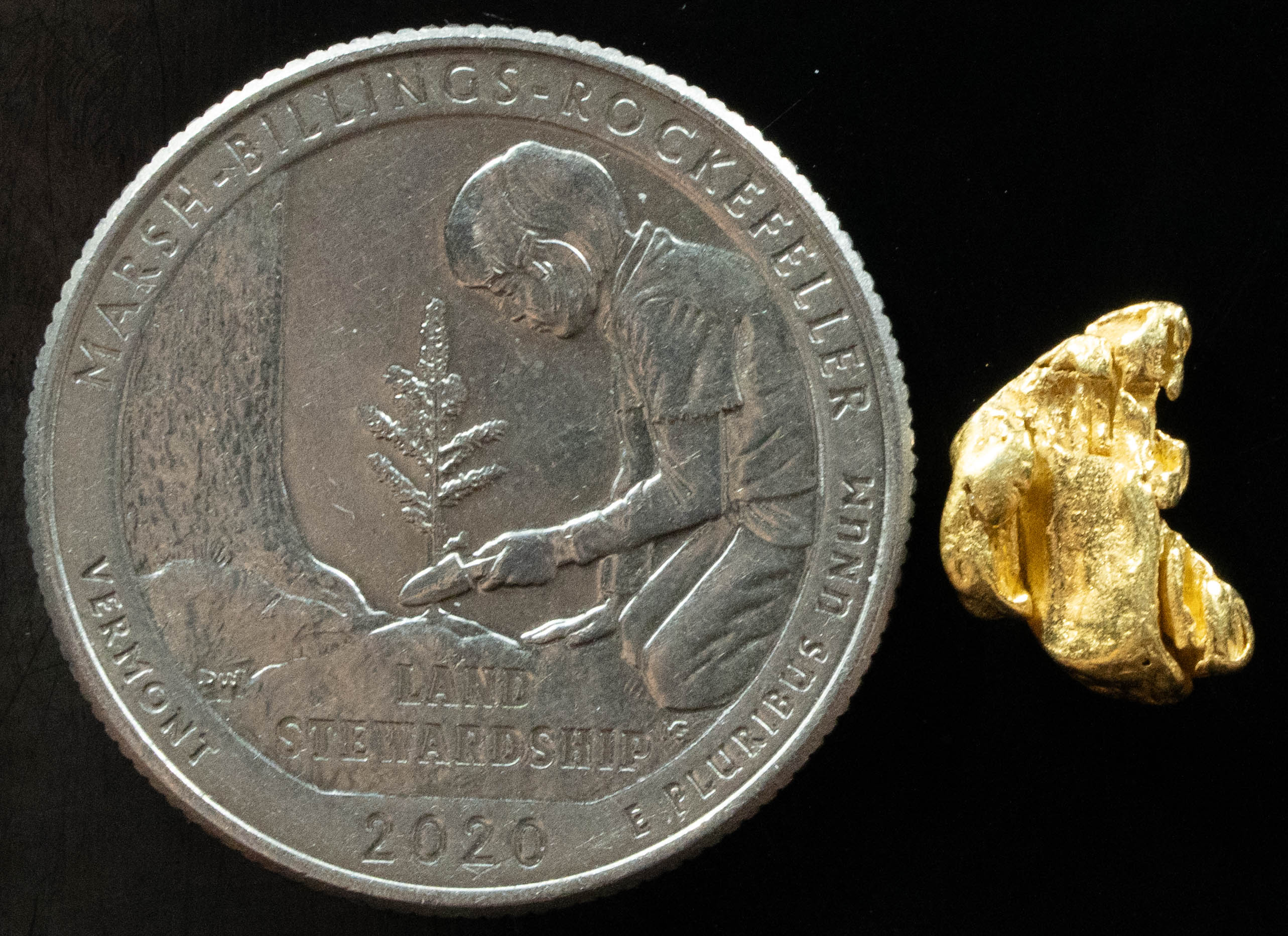 L-35 Exotic Dendritic Alaskan BC Natural Gold Nugget .824 Grams Genuine