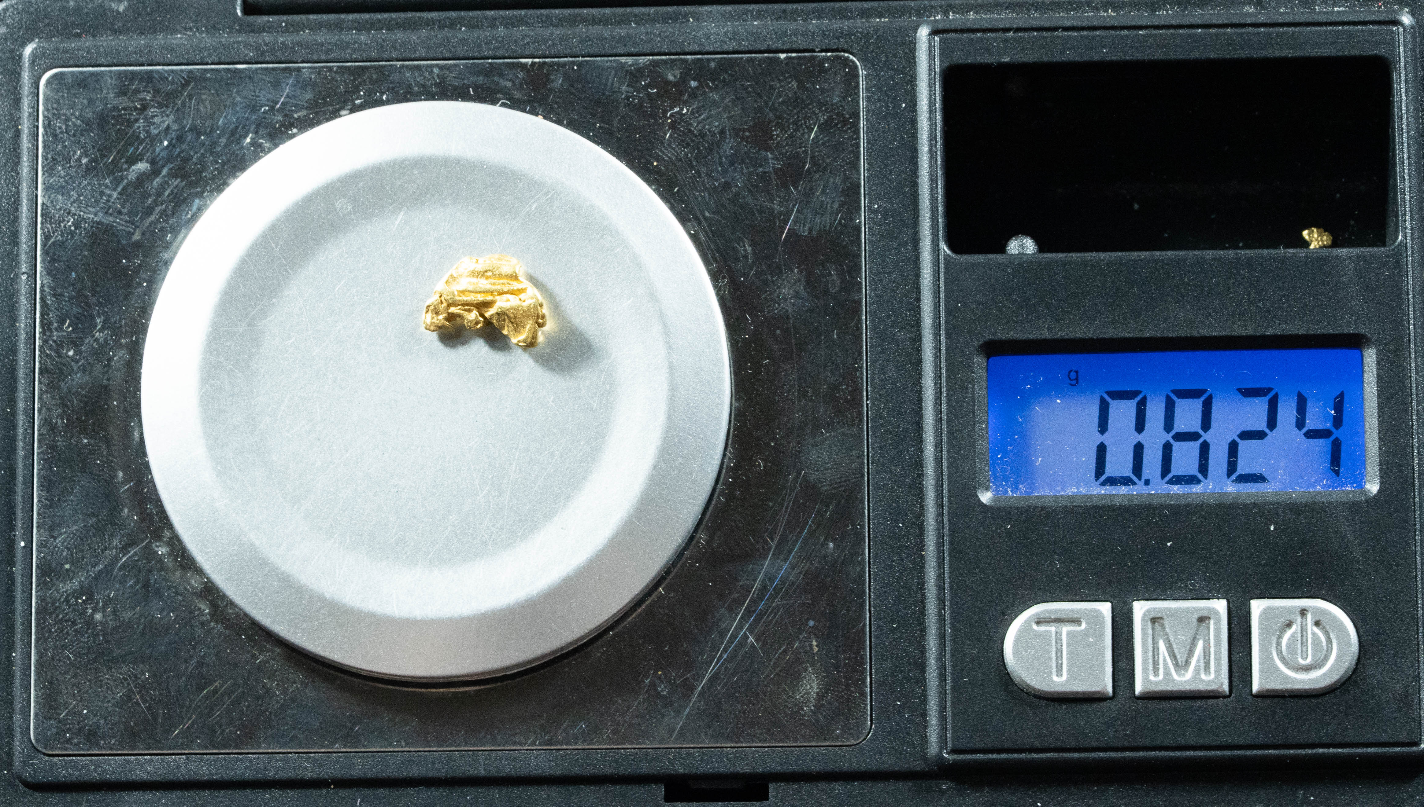 L-35 Exotic Dendritic Alaskan BC Natural Gold Nugget .824 Grams Genuine